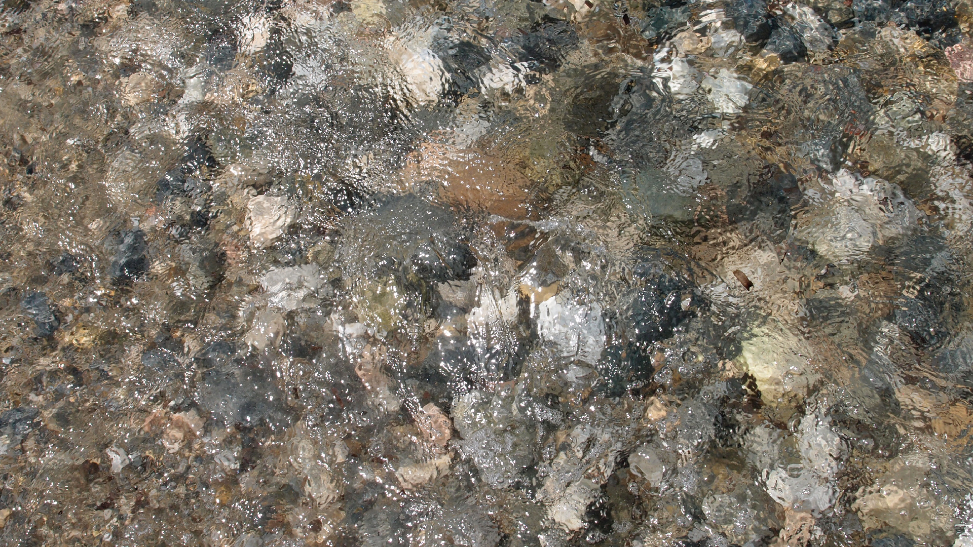 2021-09-17 03 Parasporos Beach Club (Zikaden) (Fieldrecording, Foto, Video)