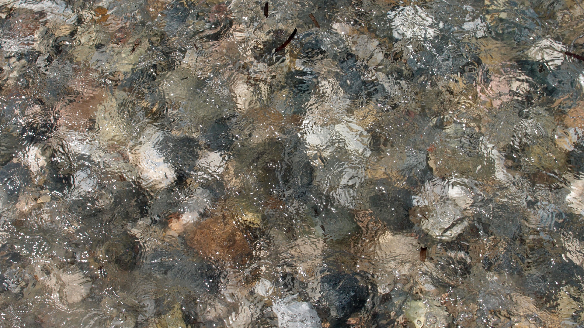 2021-09-17 03 Parasporos Beach Club (Zikaden) (Fieldrecording, Foto, Video)