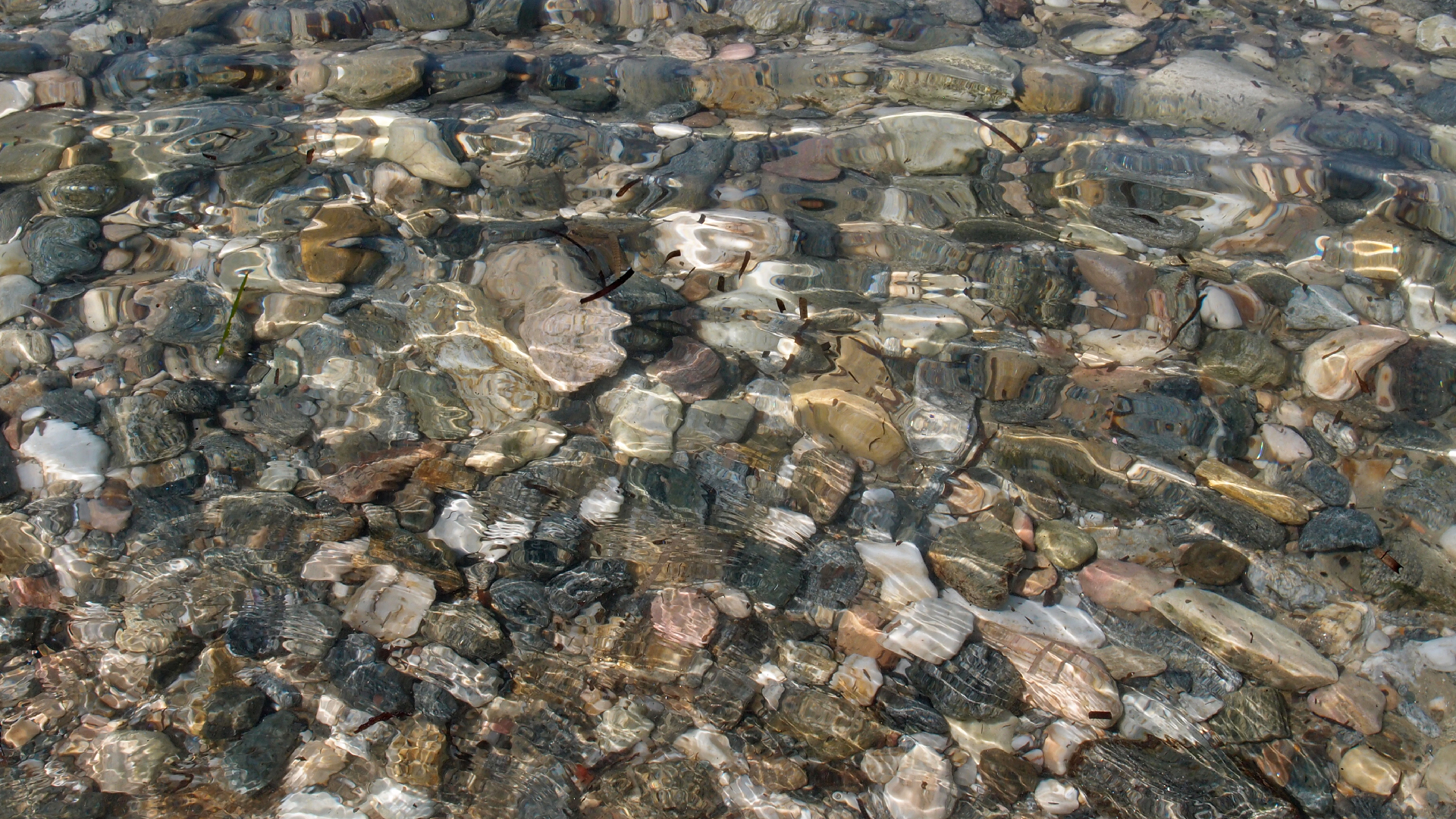 2021-09-17 03 Parasporos Beach Club (Zikaden) (Fieldrecording, Foto, Video)