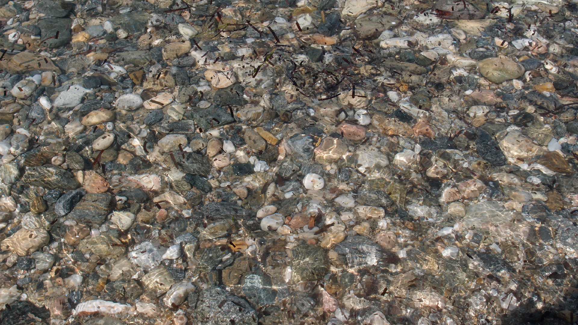 2021-09-17 03 Parasporos Beach Club (Zikaden) (Fieldrecording, Foto, Video)