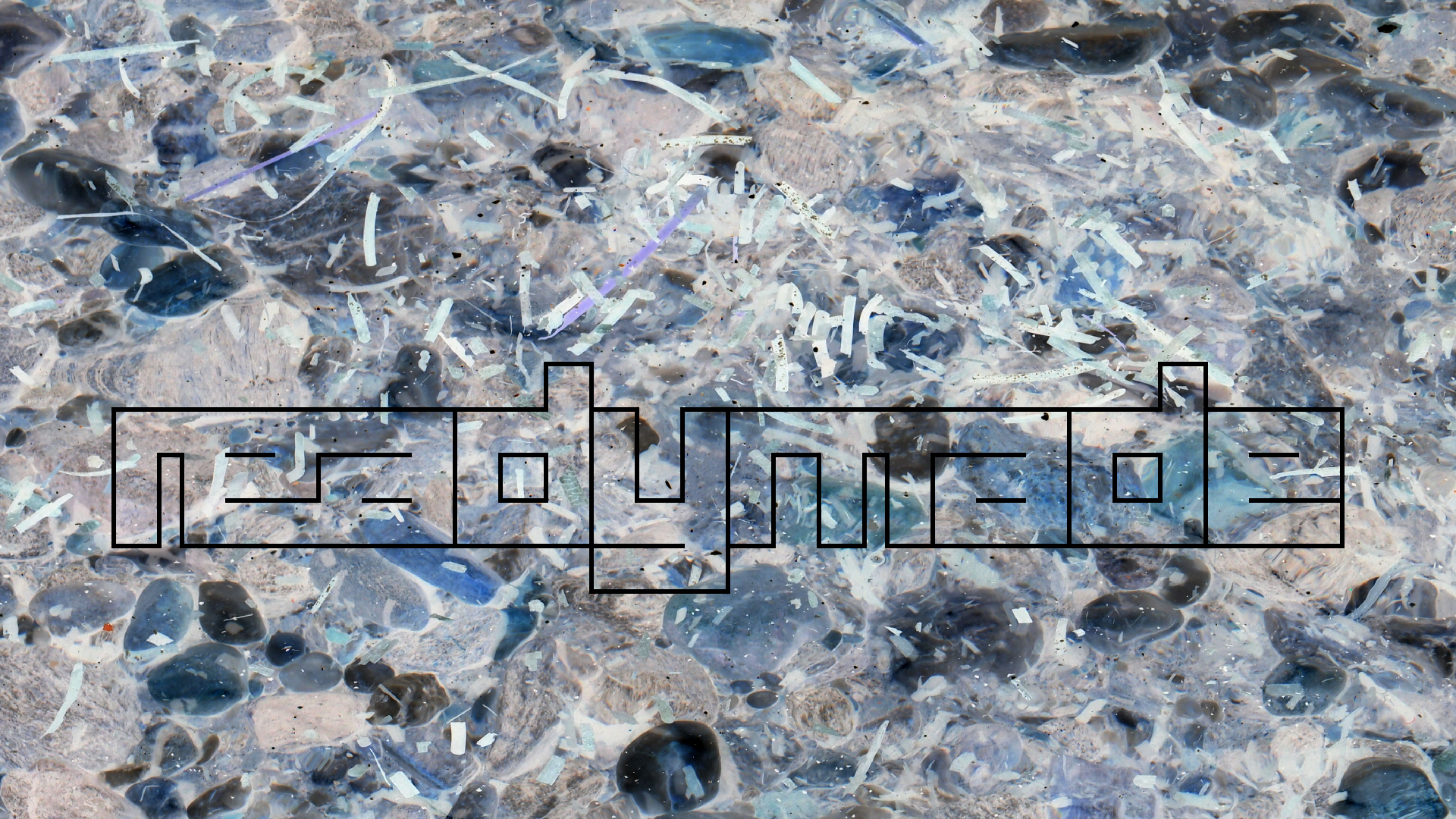 2021-09-17 03 Parasporos Beach Club (Zikaden) (Fieldrecording, Foto, Video)