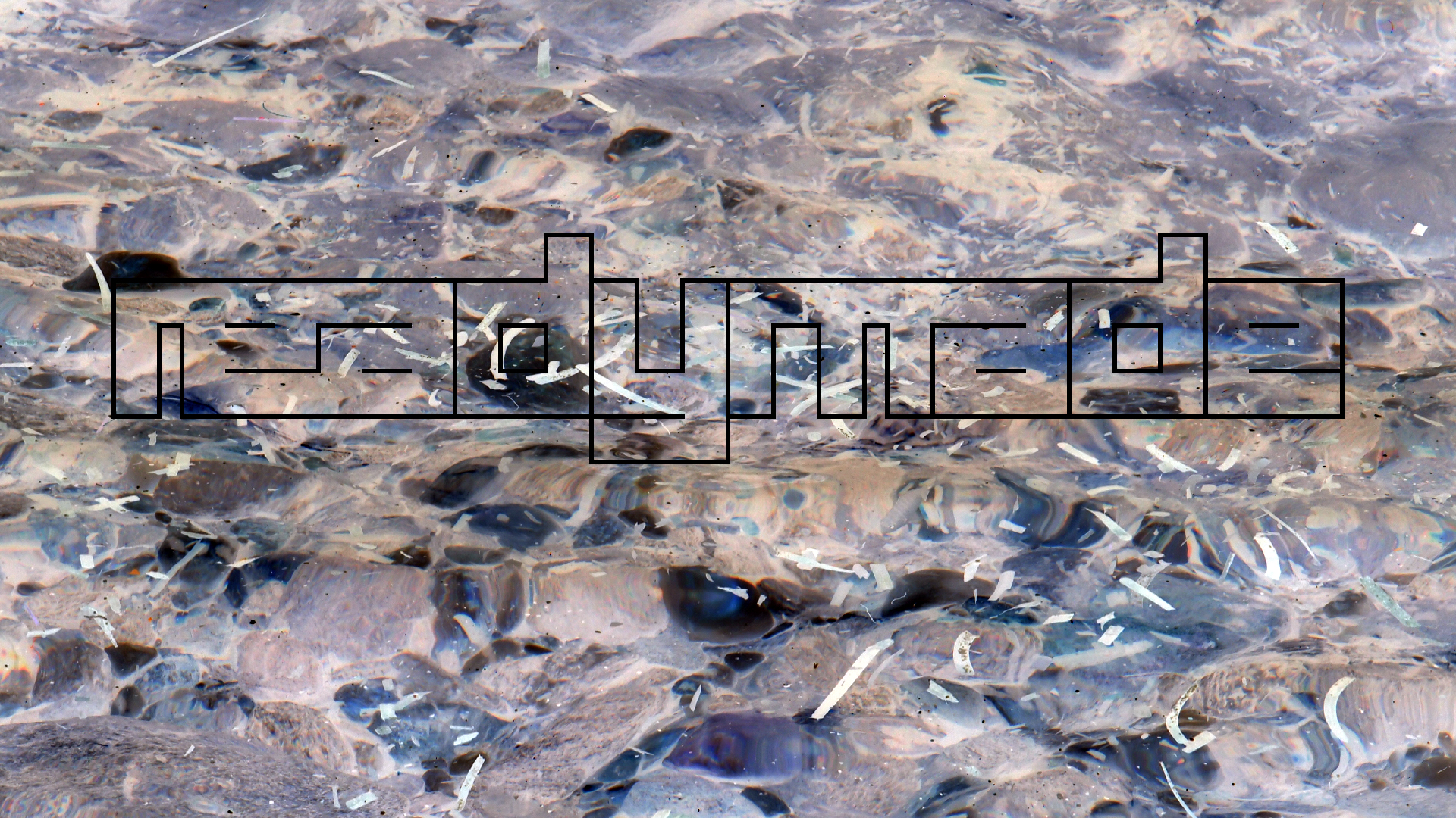 2021-09-17 03 Parasporos Beach Club (Zikaden) (Fieldrecording, Foto, Video)