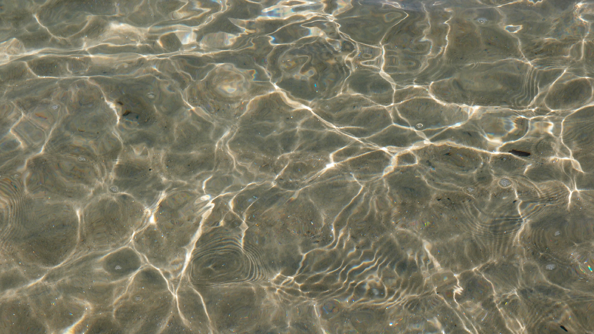 2021-09-17 03 Parasporos Beach Club (Zikaden) (Fieldrecording, Foto, Video)