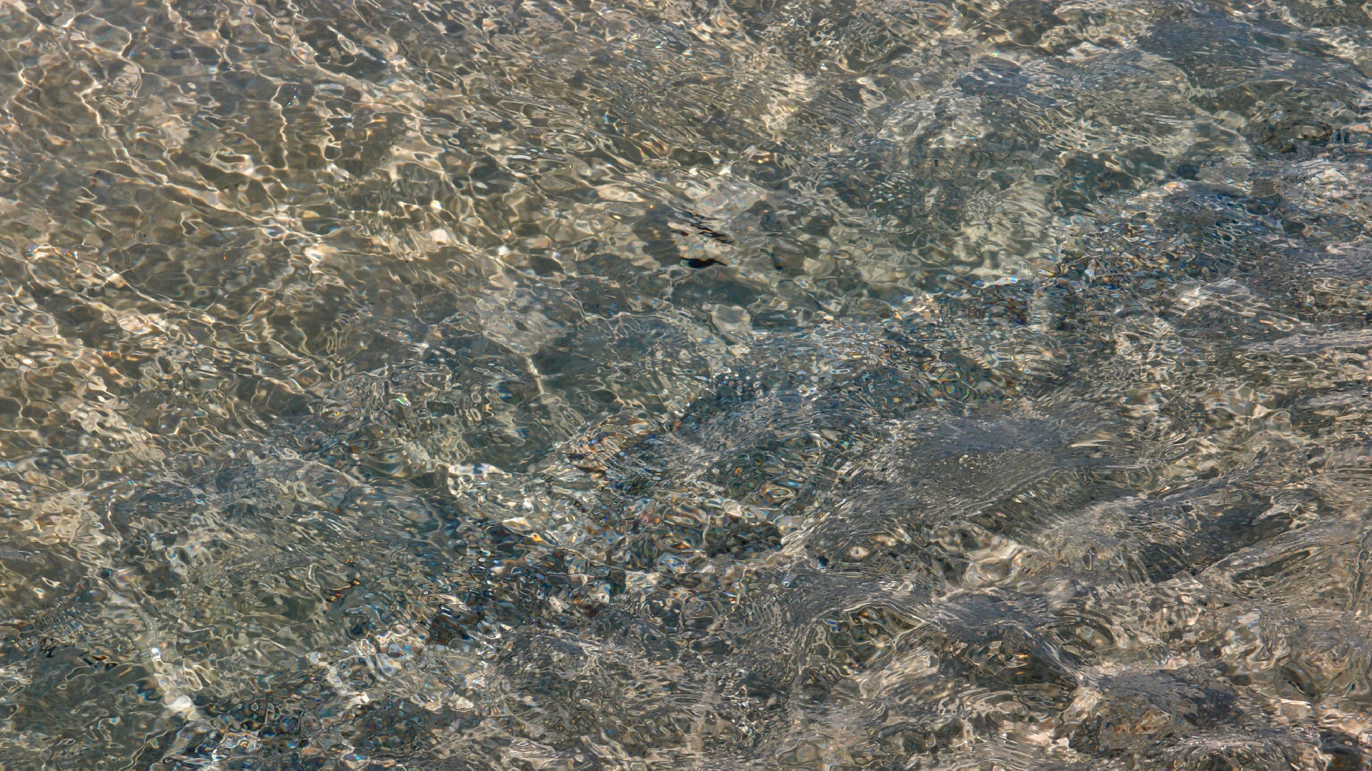 2021-09-17 03 Parasporos Beach Club (Zikaden) (Fieldrecording, Foto, Video)