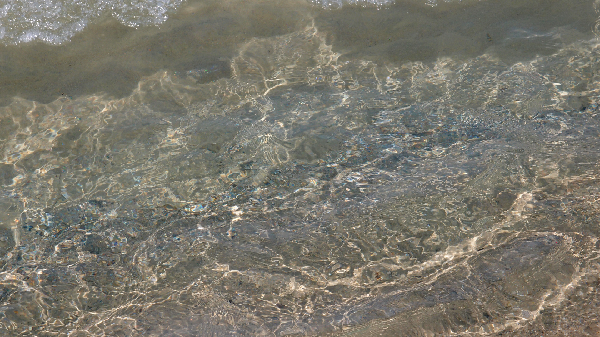 2021-09-17 03 Parasporos Beach Club (Zikaden) (Fieldrecording, Foto, Video)