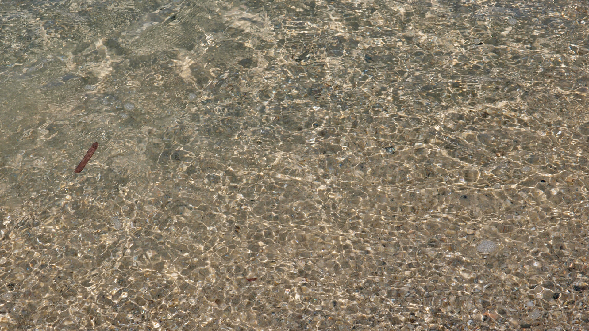 2021-09-17 03 Parasporos Beach Club (Zikaden) (Fieldrecording, Foto, Video)