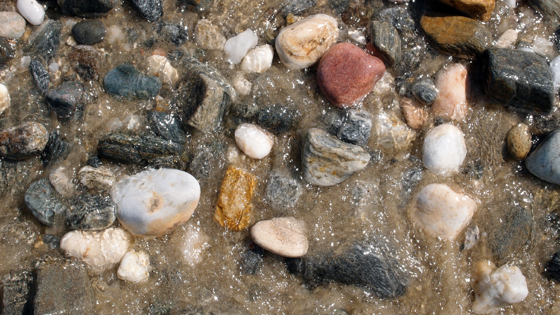 2021-09-17 03 Parasporos Beach Club (Zikaden) (Fieldrecording, Foto, Video)