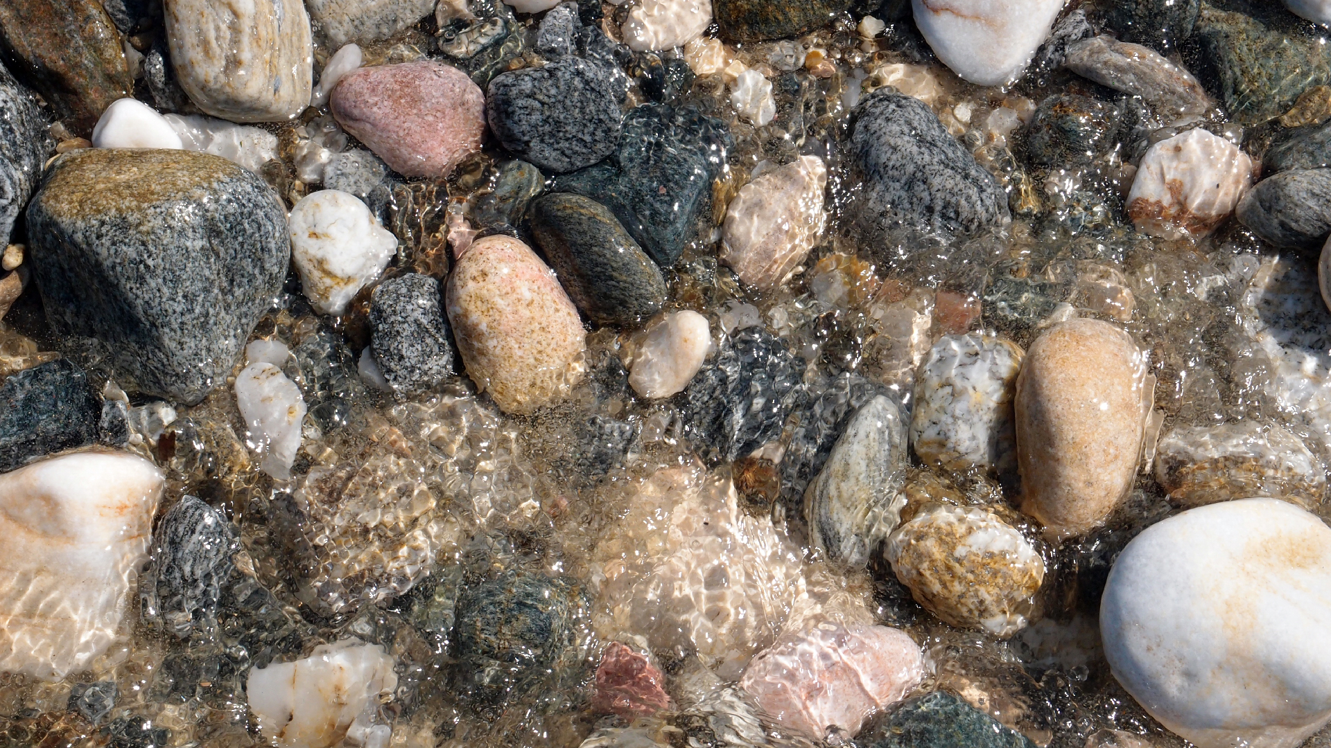 2021-09-17 03 Parasporos Beach Club (Zikaden) (Fieldrecording, Foto, Video)