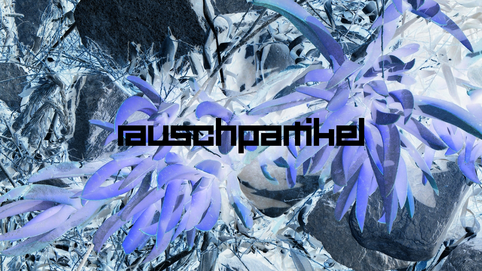 2021-09-17 05 Krios Beach (Foto)