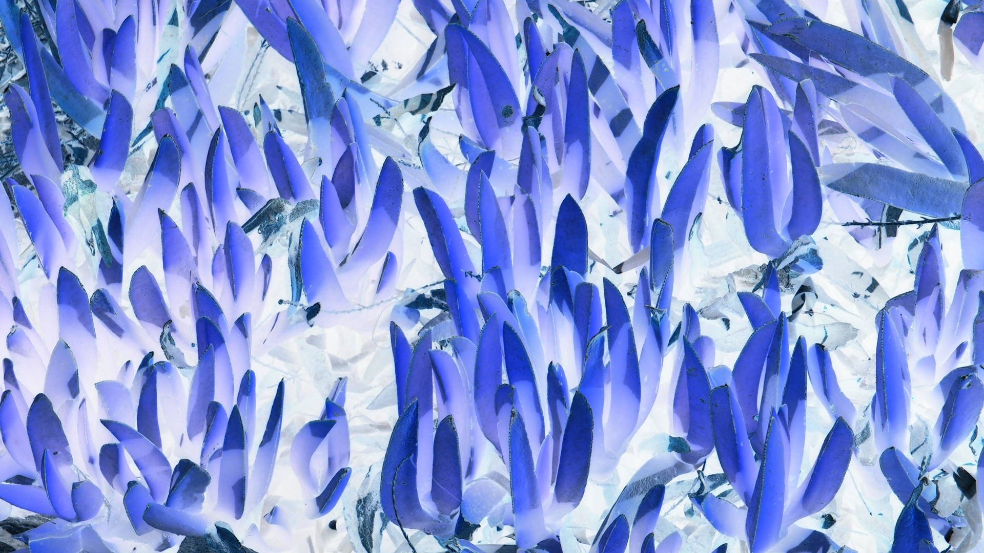 2021-09-17 05 Krios Beach (Foto)