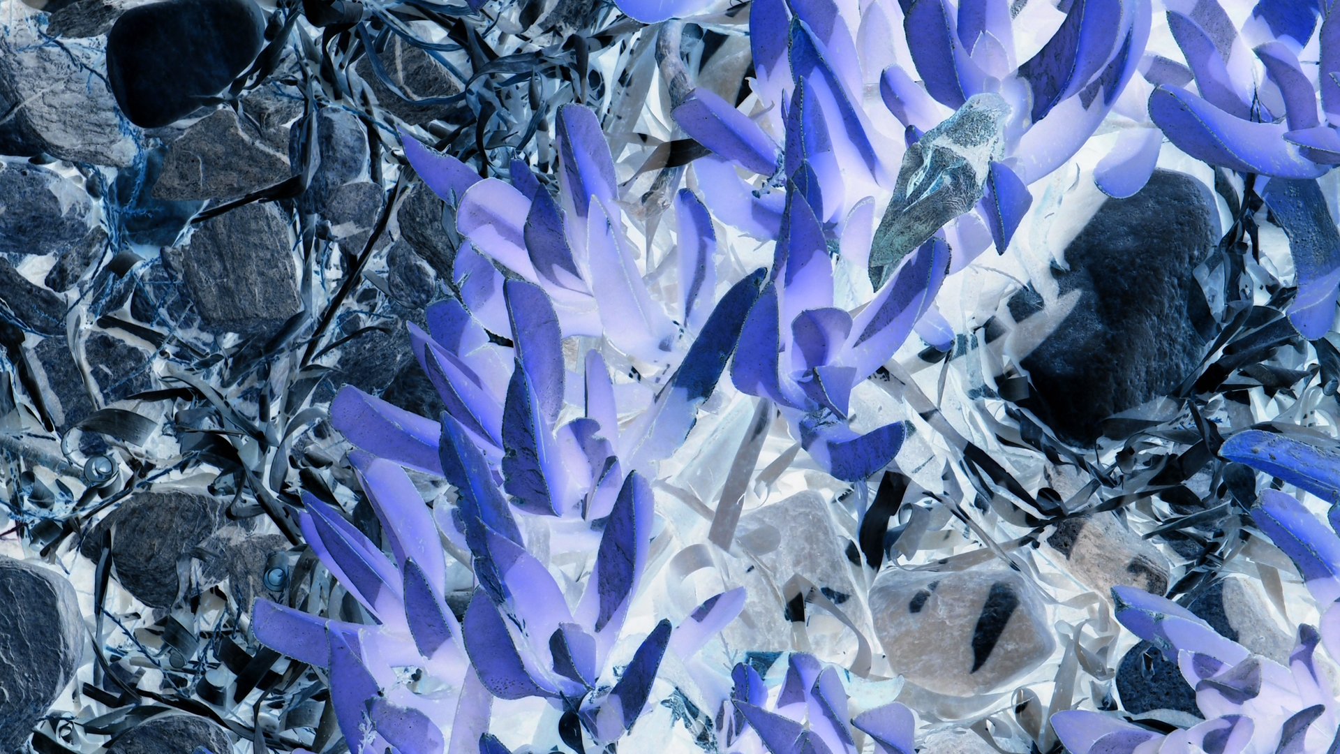 2021-09-17 05 Krios Beach (Foto)