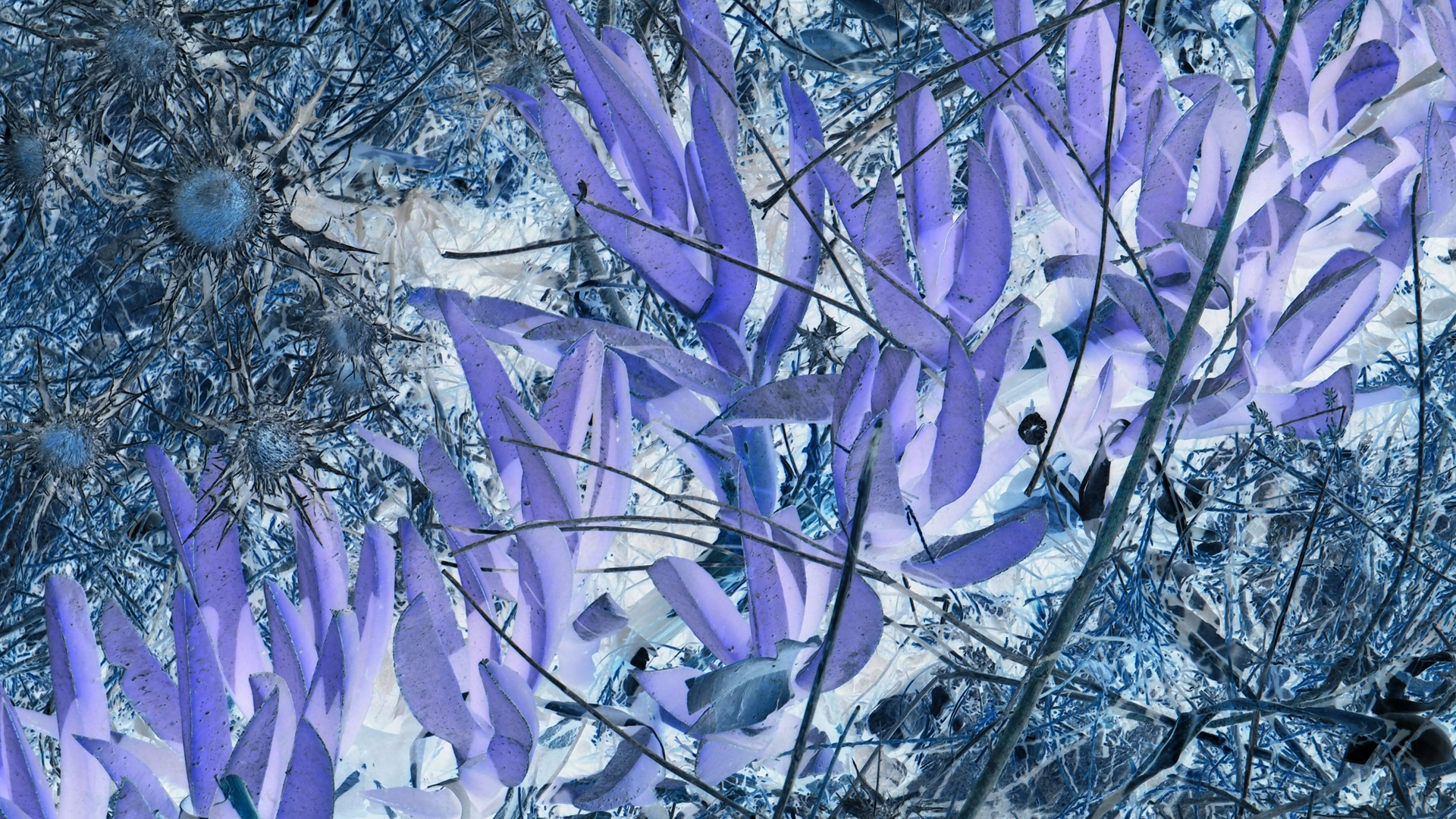 2021-09-17 05 Krios Beach (Foto)