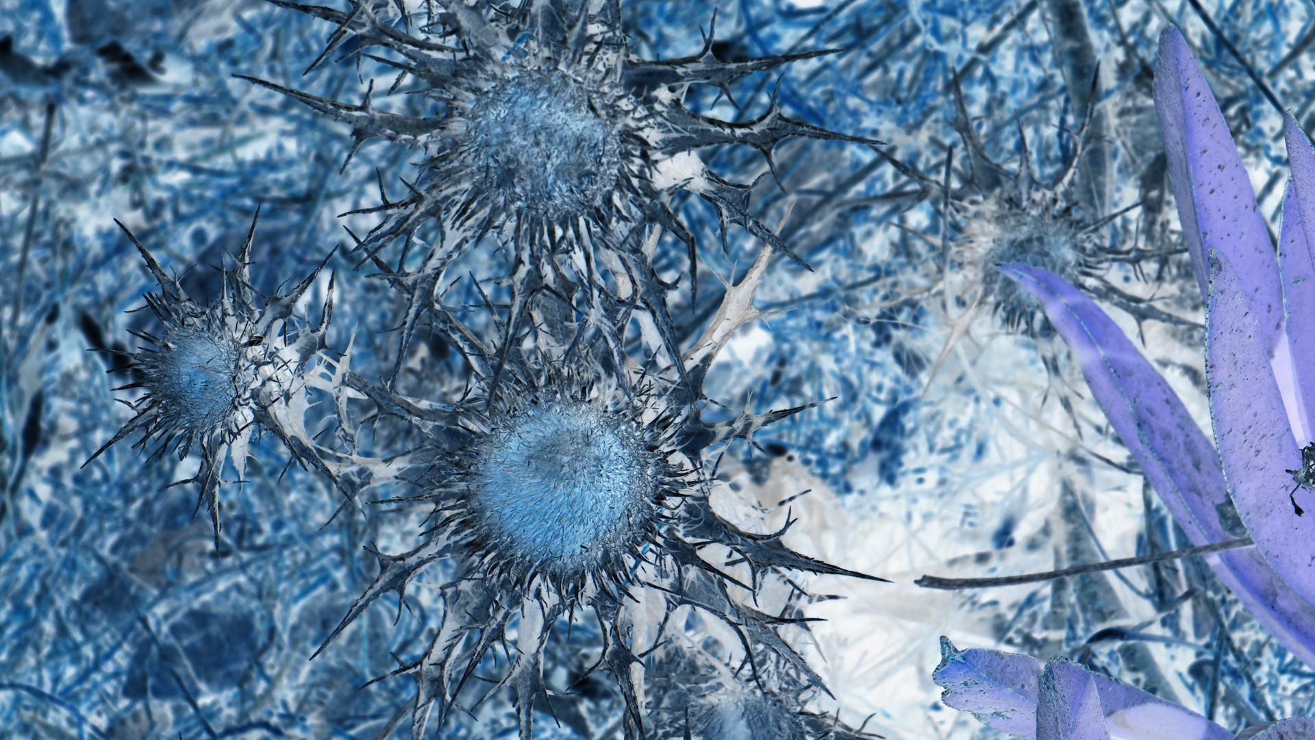 2021-09-17 05 Krios Beach (Foto)