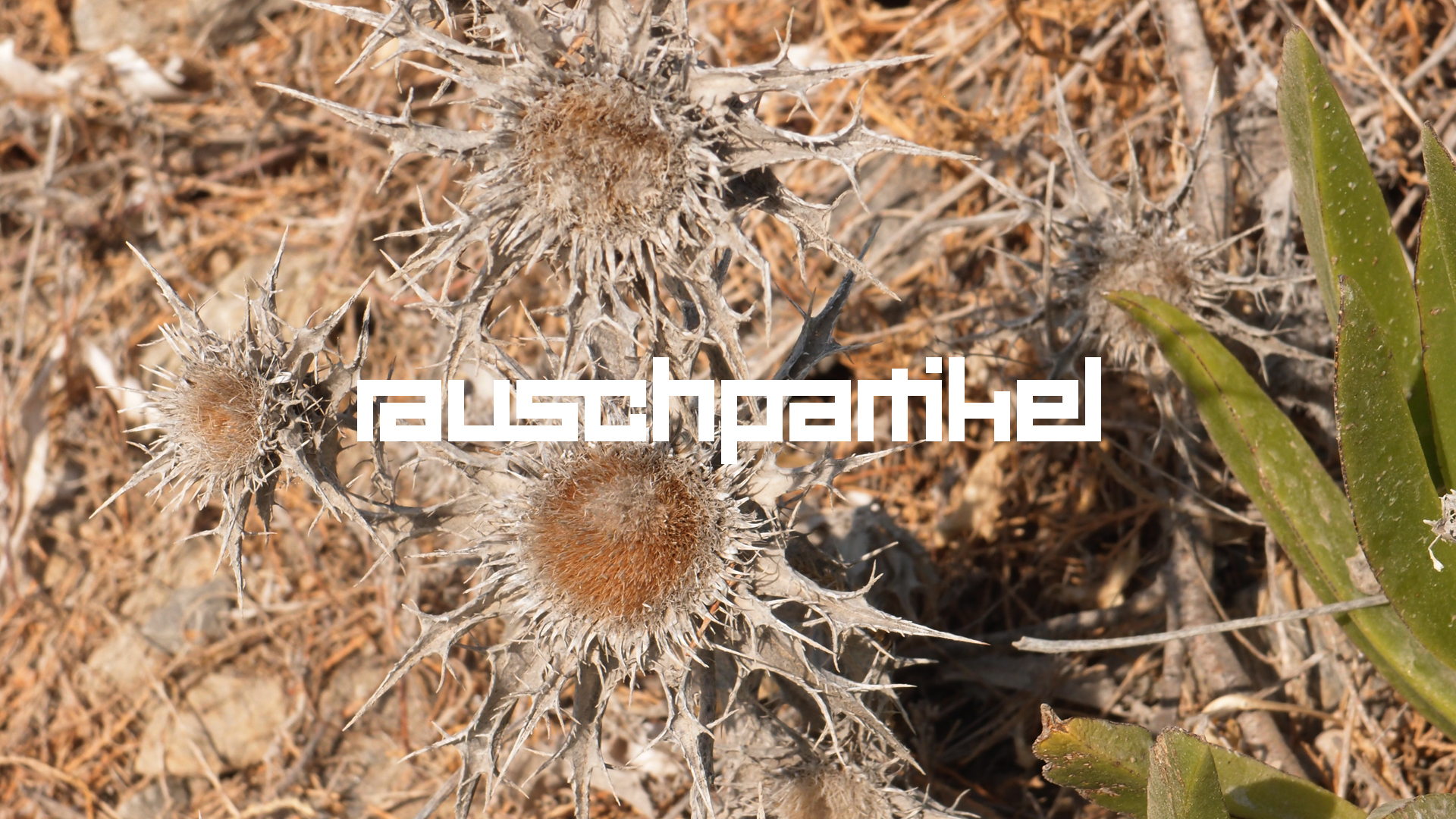 2021-09-17 05 Krios Beach (Foto)