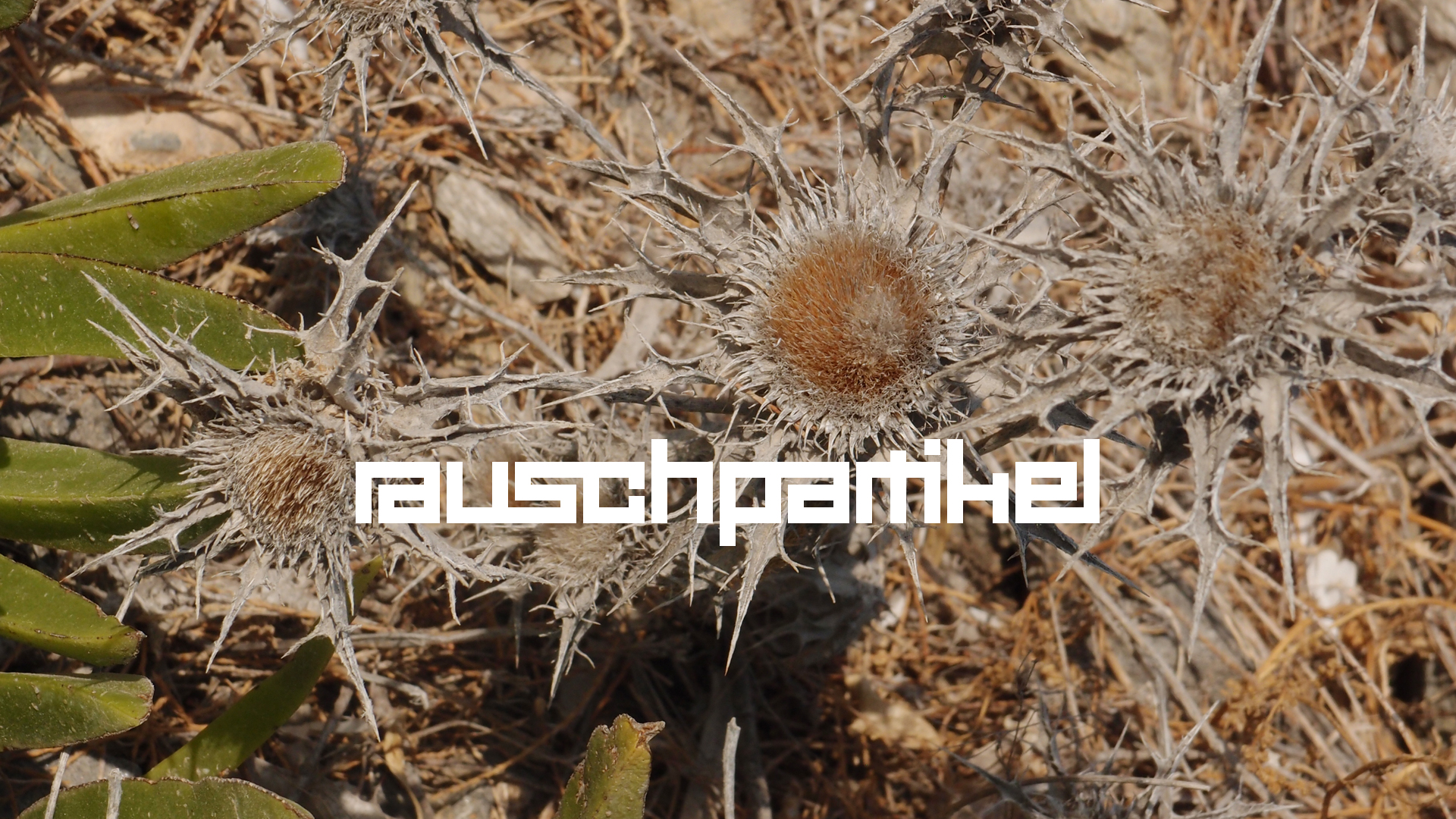 2021-09-17 05 Krios Beach (Foto)