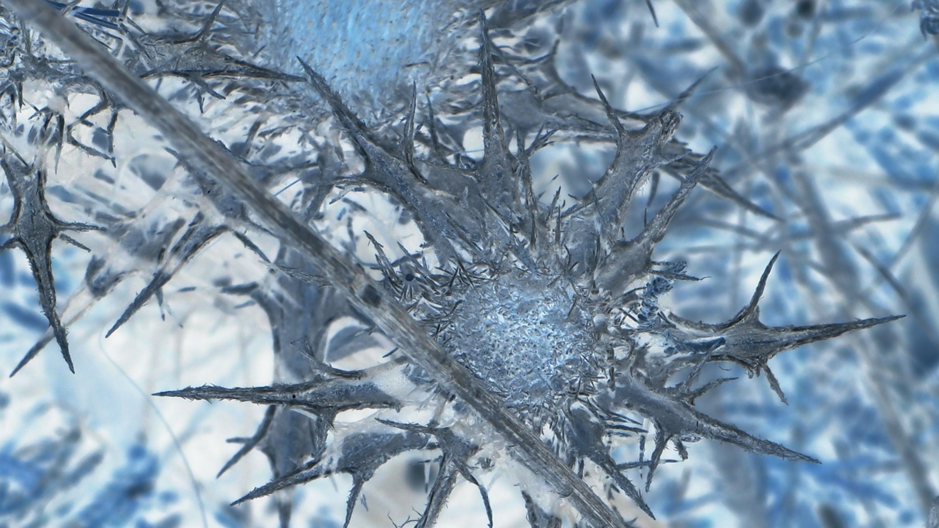 2021-09-17 05 Krios Beach (Foto)