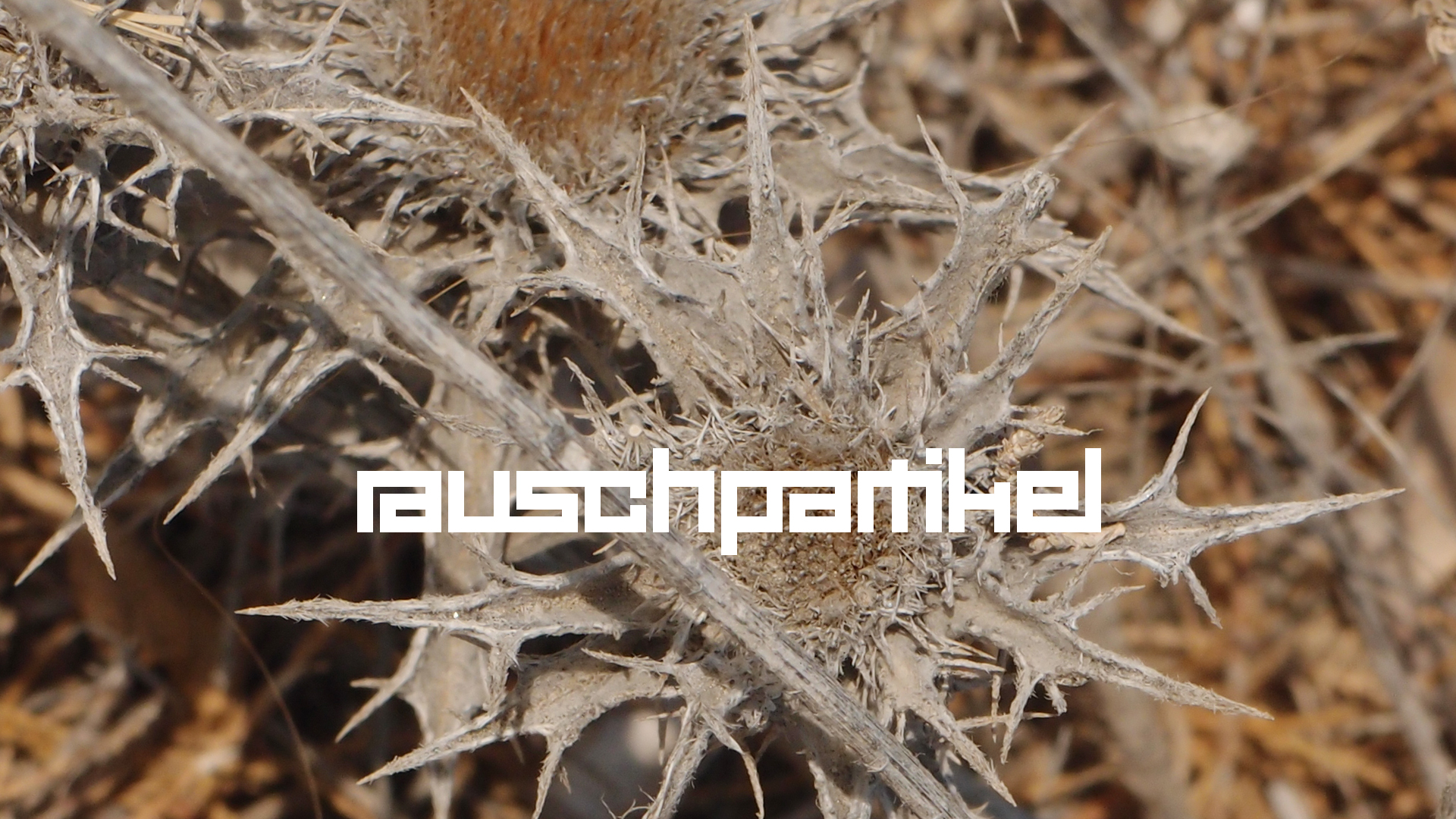 2021-09-17 05 Krios Beach (Foto)