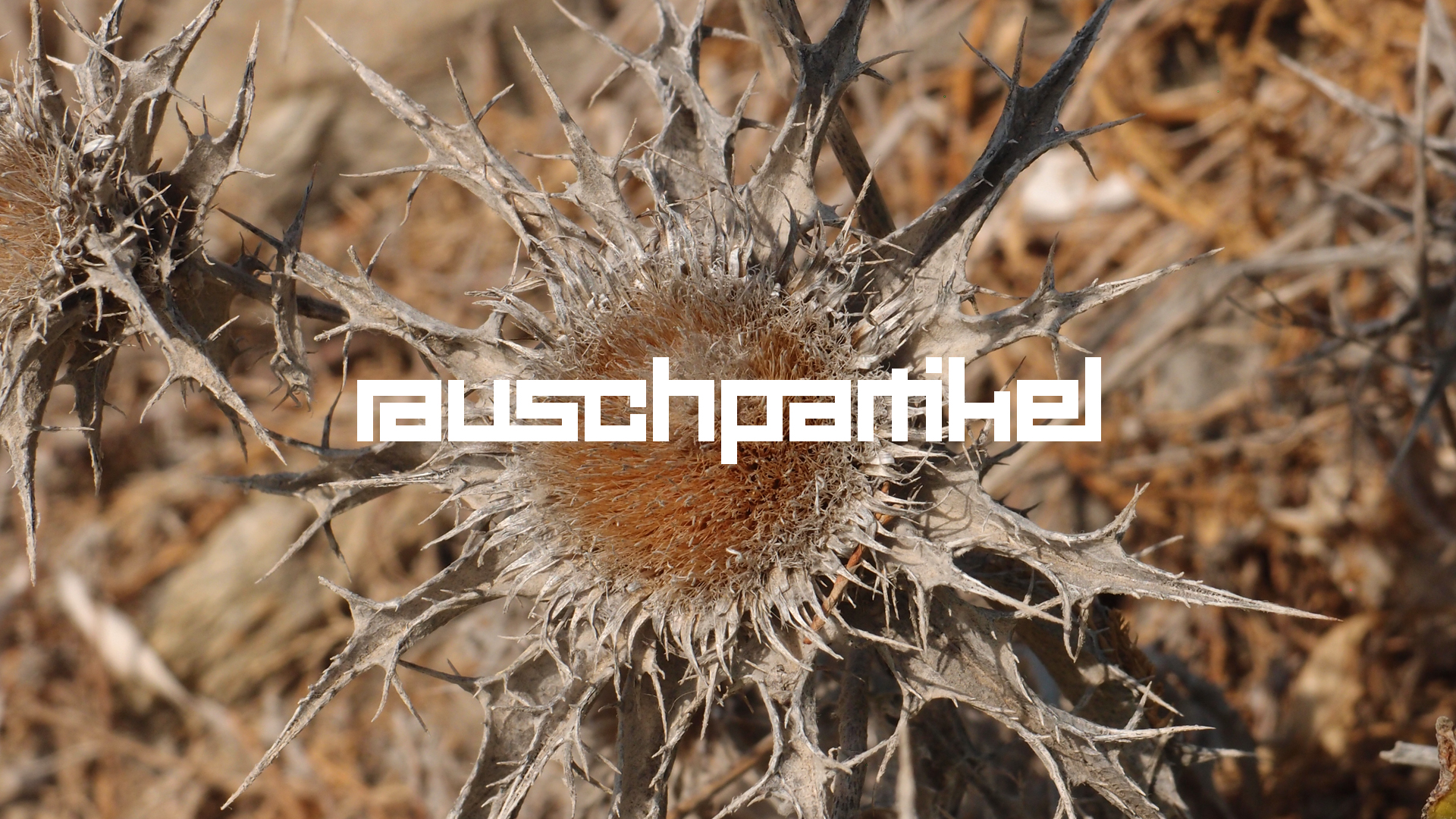 2021-09-17 05 Krios Beach (Foto)