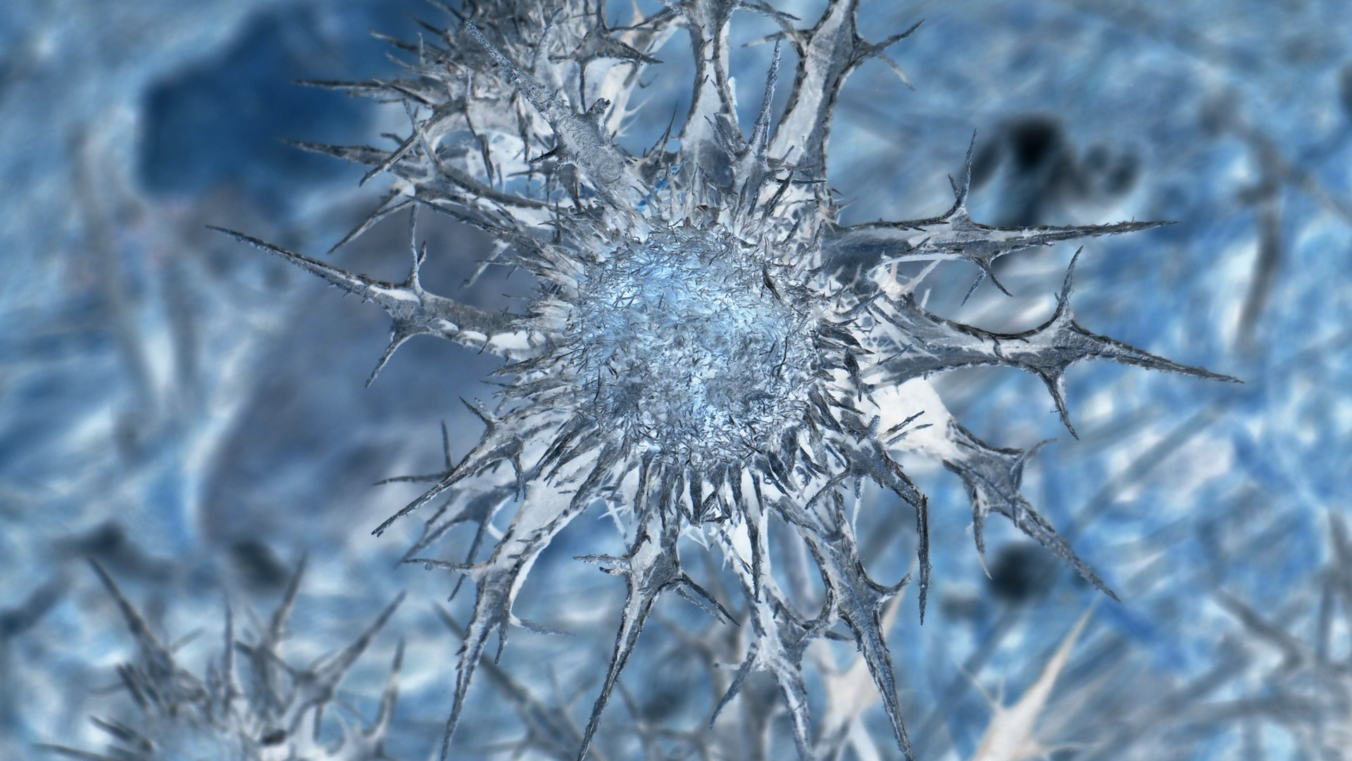 2021-09-17 05 Krios Beach (Foto)