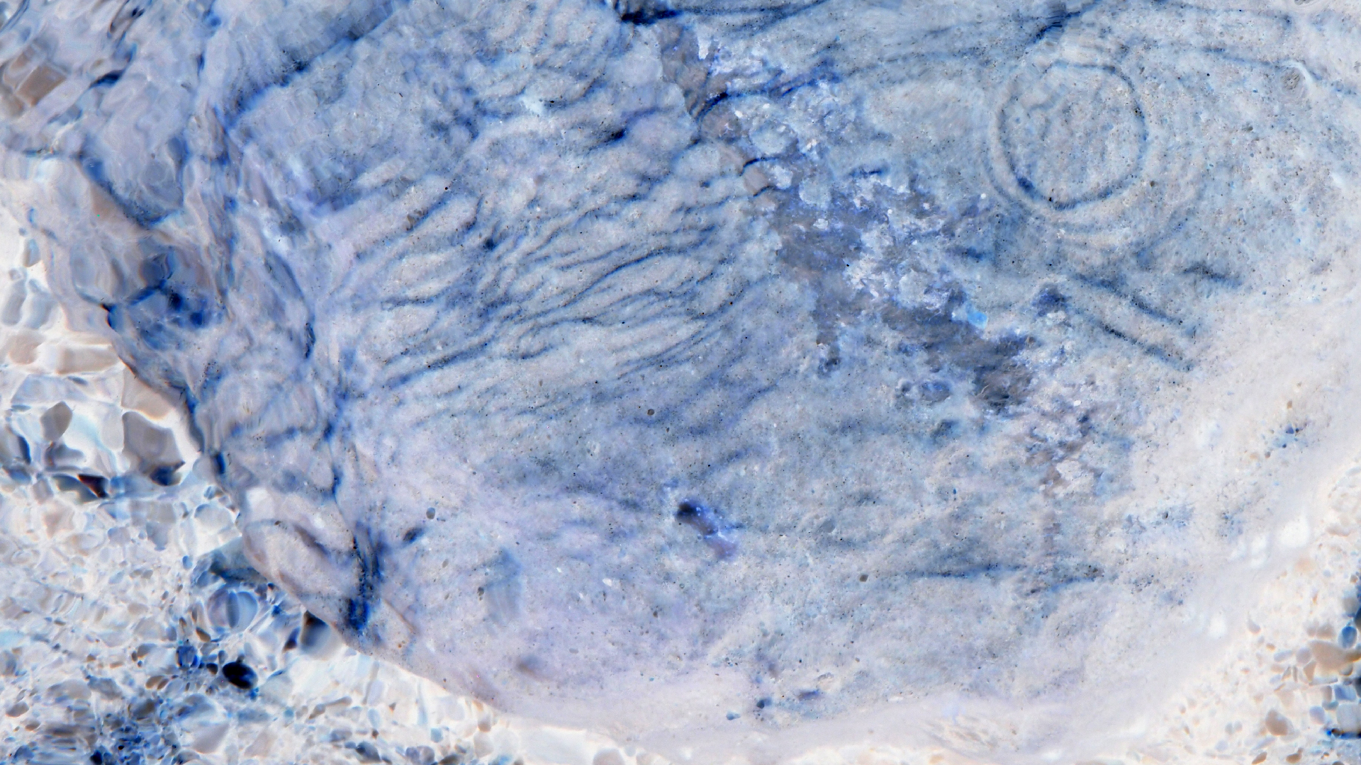 2021-09-17 05 Krios Beach (Foto)