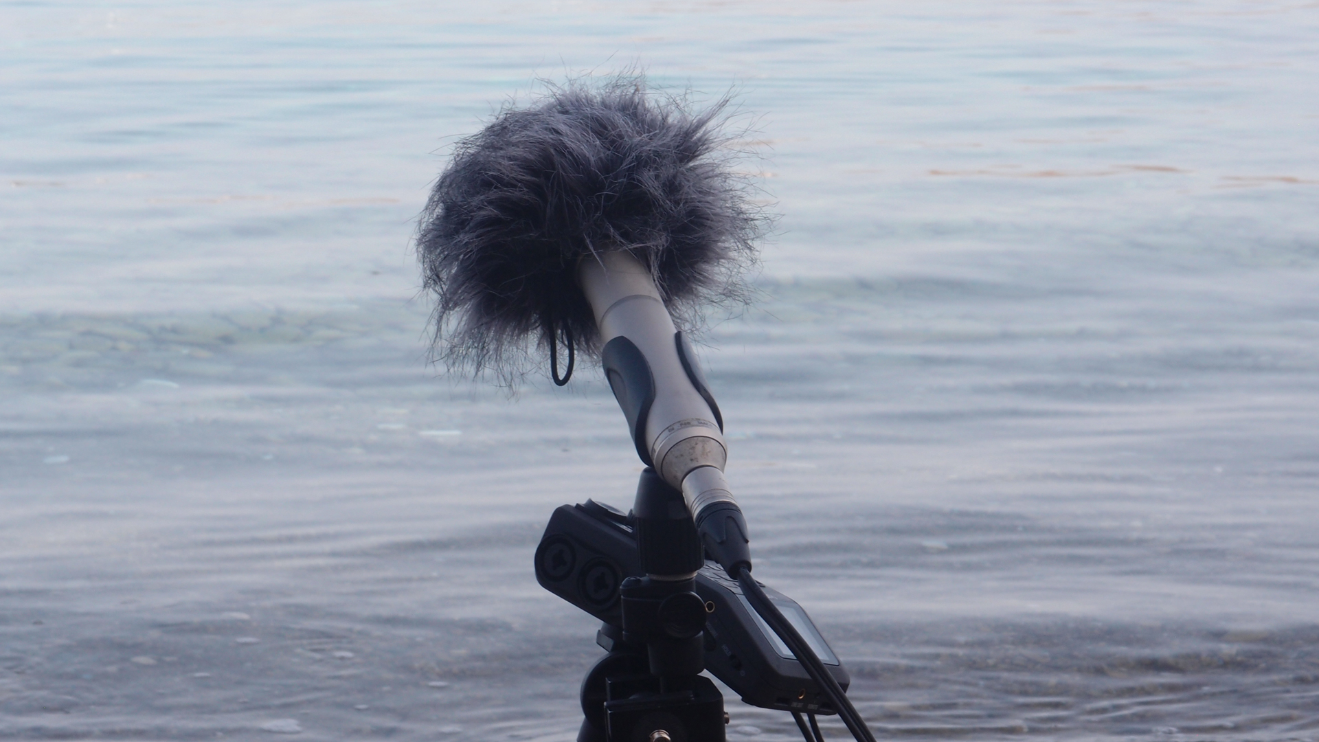 2021-04-19 Ame Zek - rauschpartikel (Vocoder Remixe) (Mixe, Typo Grafik)