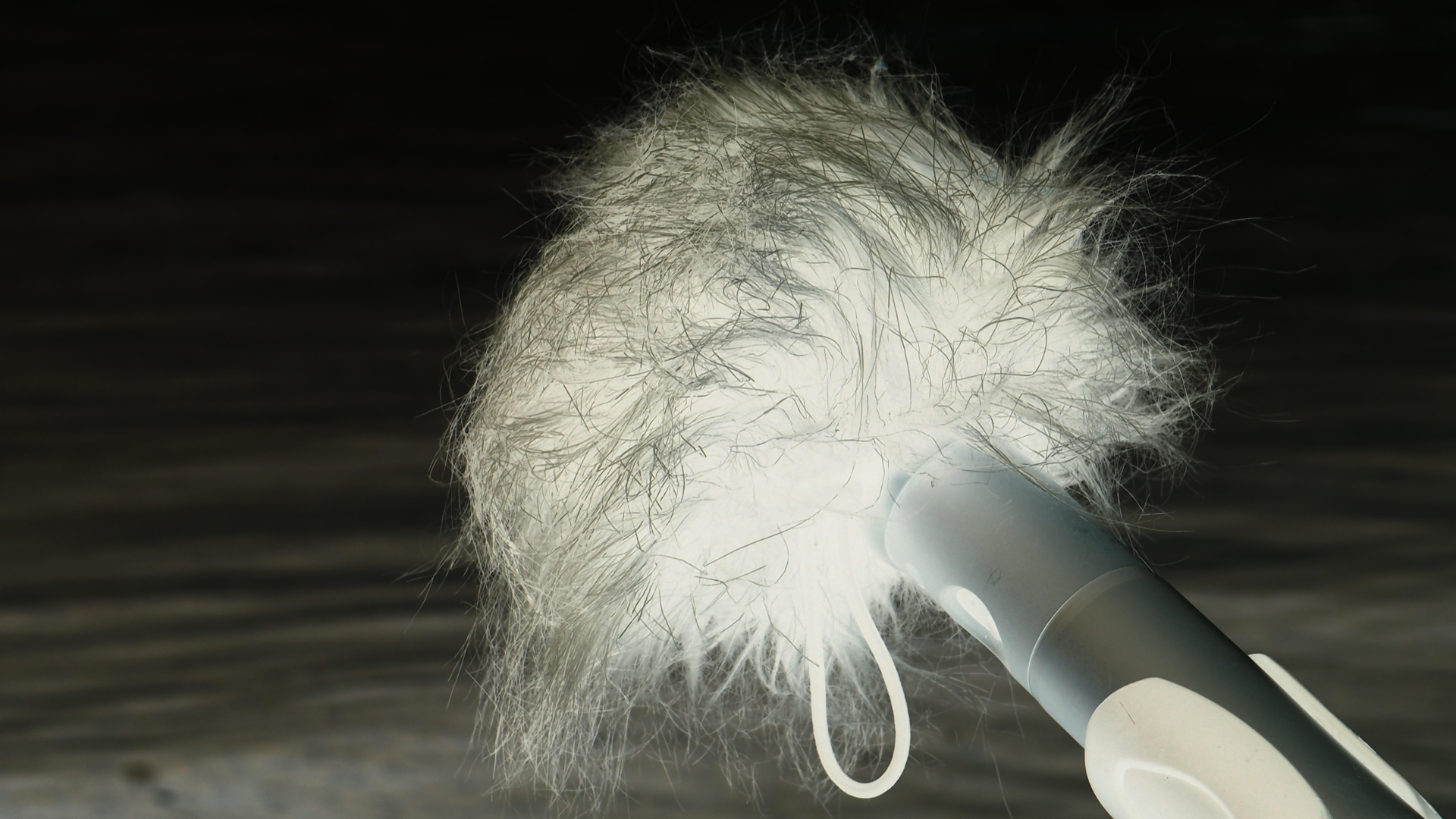 2021-04-19 Ame Zek - rauschpartikel (Vocoder Remixe) (Mixe, Typo Grafik)