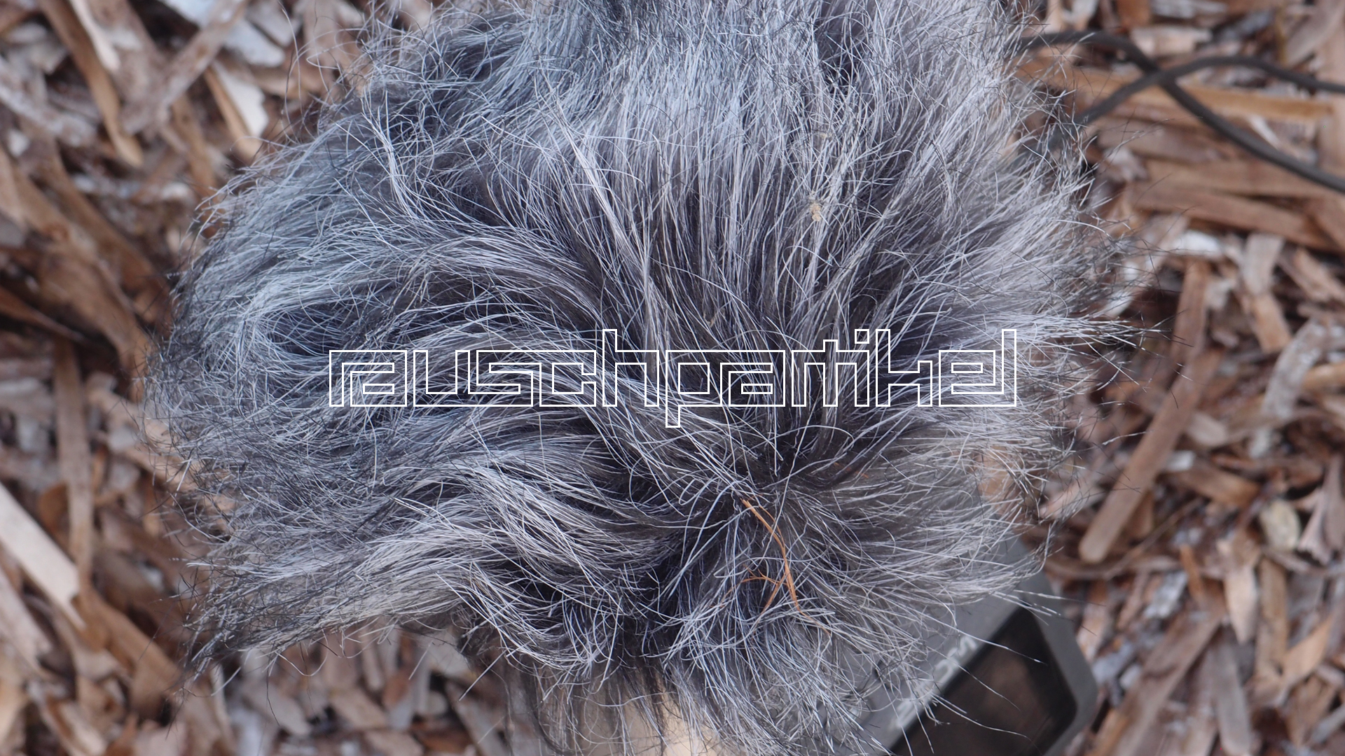 2021-04-19 Ame Zek - rauschpartikel (Vocoder Remixe) (Mixe, Typo Grafik)