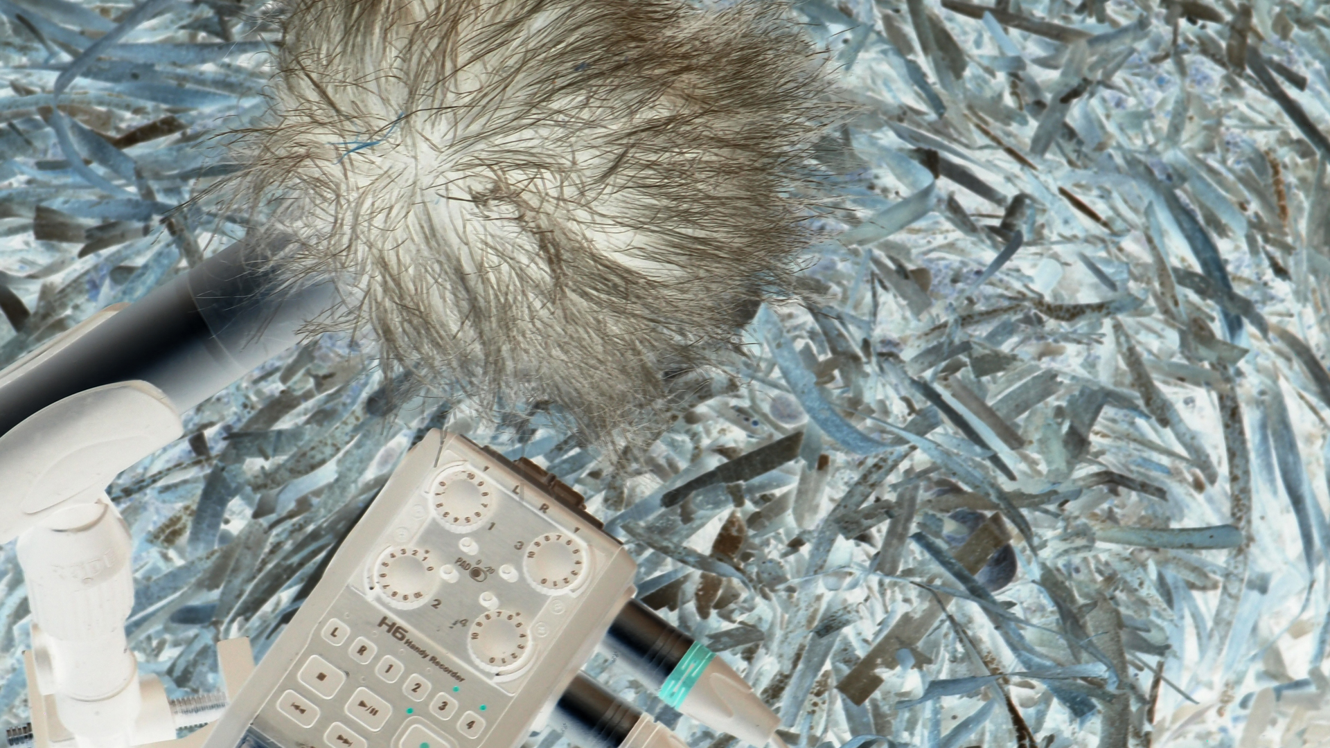 2021-04-19 Ame Zek - rauschpartikel (Vocoder Remixe) (Mixe, Typo Grafik)