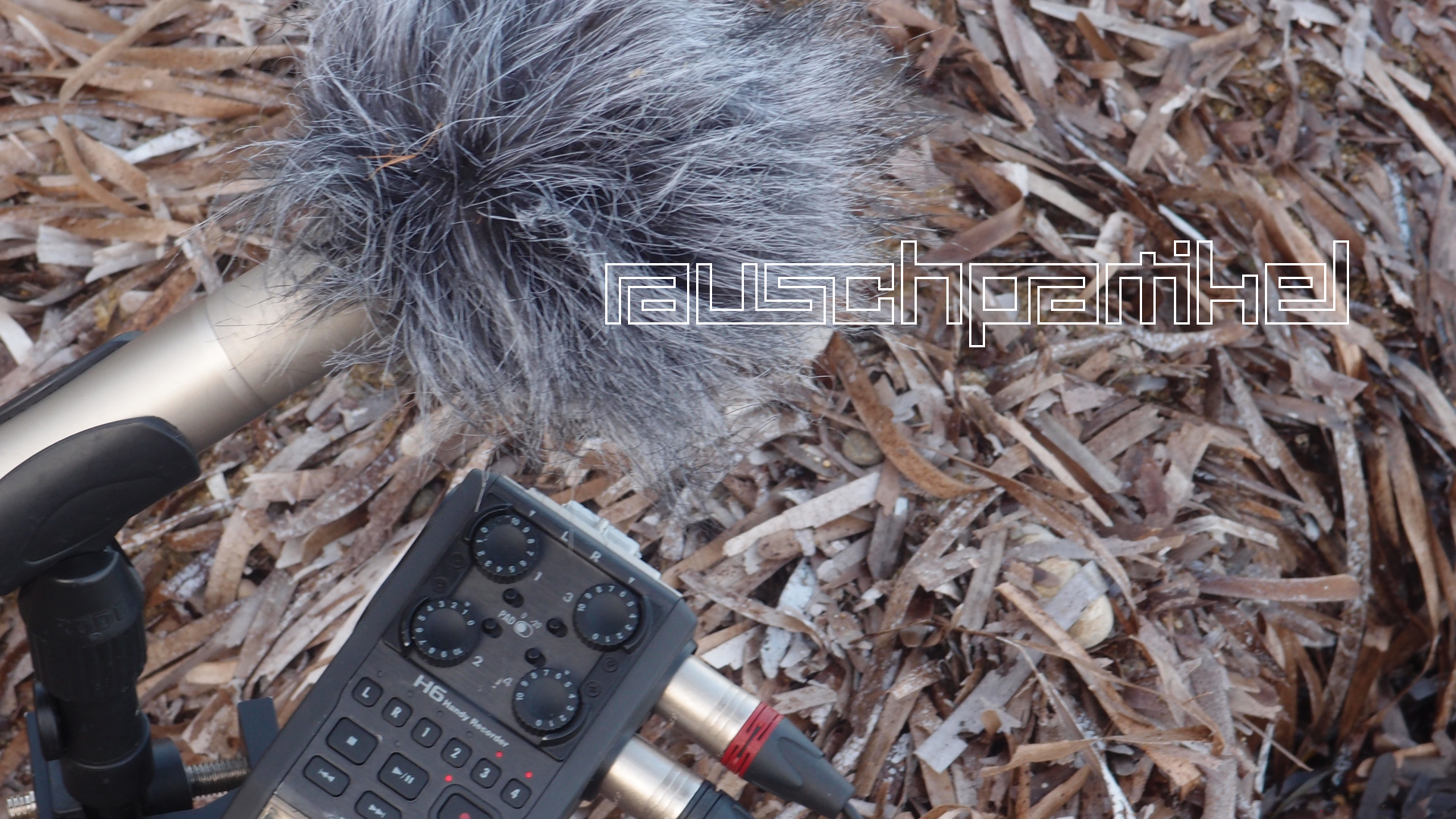 2021-04-19 Ame Zek - rauschpartikel (Vocoder Remixe) (Mixe, Typo Grafik)