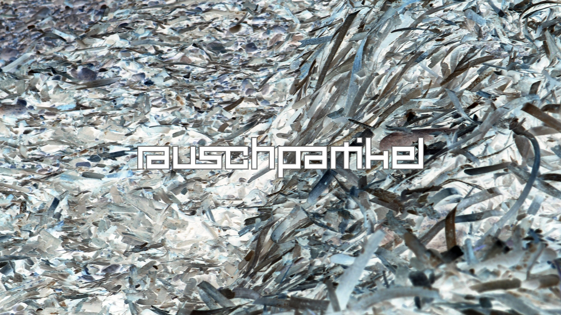 2021-04-19 Ame Zek - rauschpartikel (Vocoder Remixe) (Mixe, Typo Grafik)