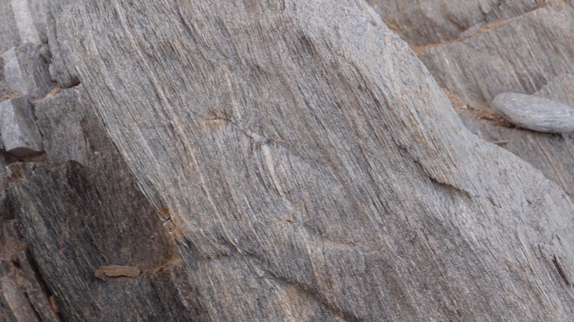 2021-04-19 Ame Zek - rauschpartikel (Vocoder Remixe) (Mixe, Typo Grafik)