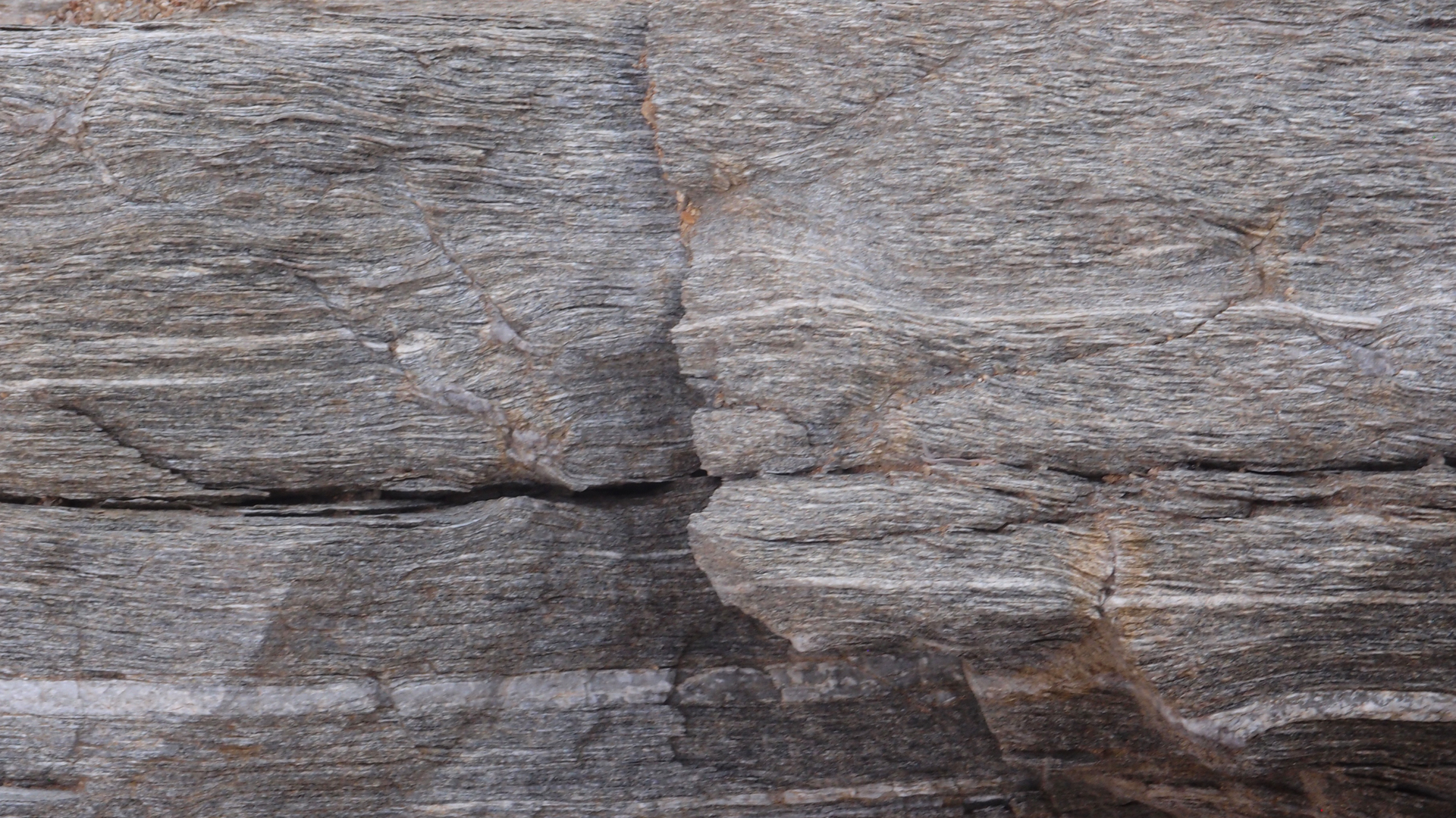 2021-04-19 Ame Zek - rauschpartikel (Vocoder Remixe) (Mixe, Typo Grafik)