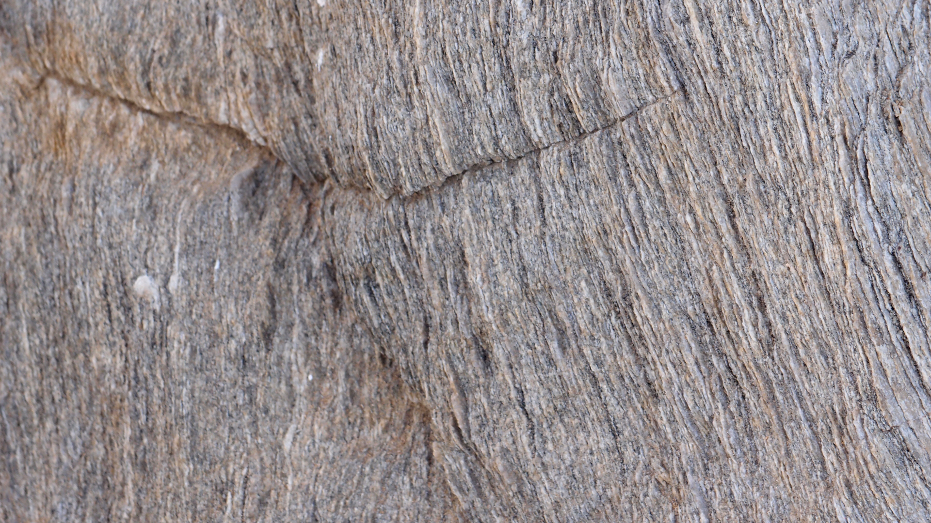 2021-04-19 Ame Zek - rauschpartikel (Vocoder Remixe) (Mixe, Typo Grafik)