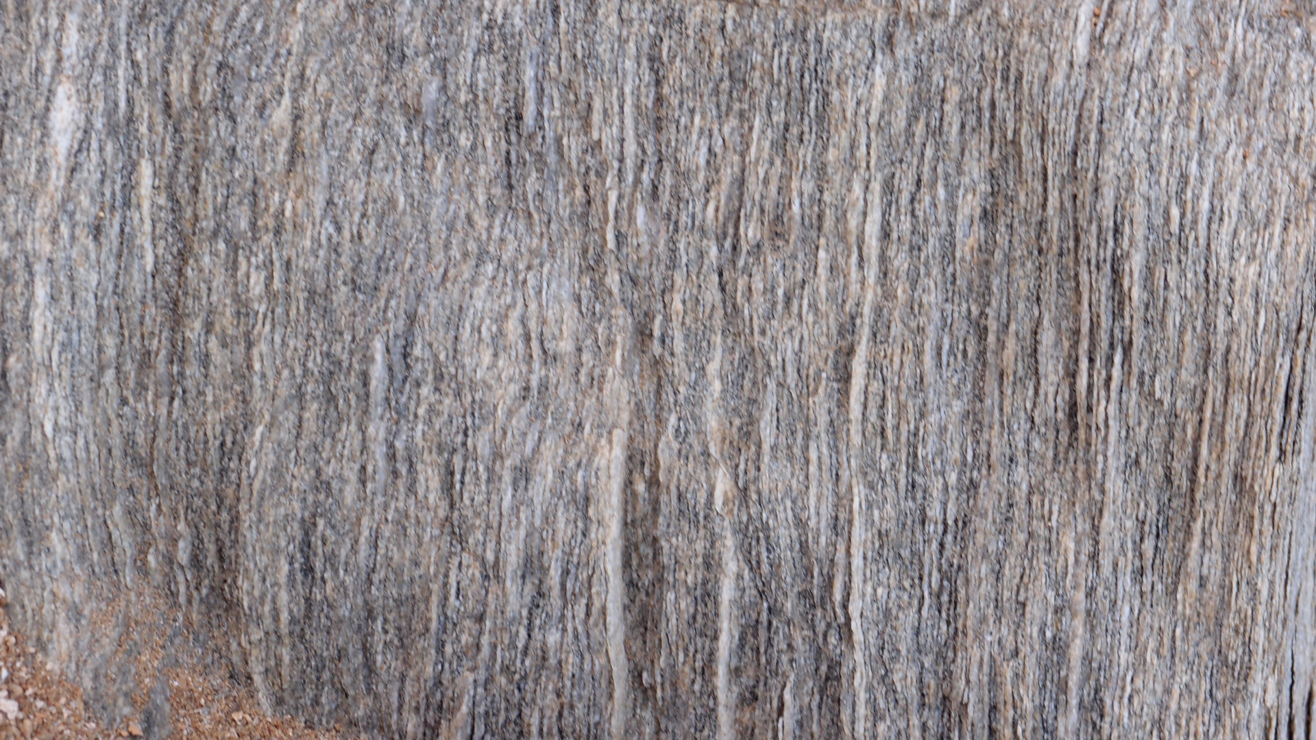 2021-04-19 Ame Zek - rauschpartikel (Vocoder Remixe) (Mixe, Typo Grafik)