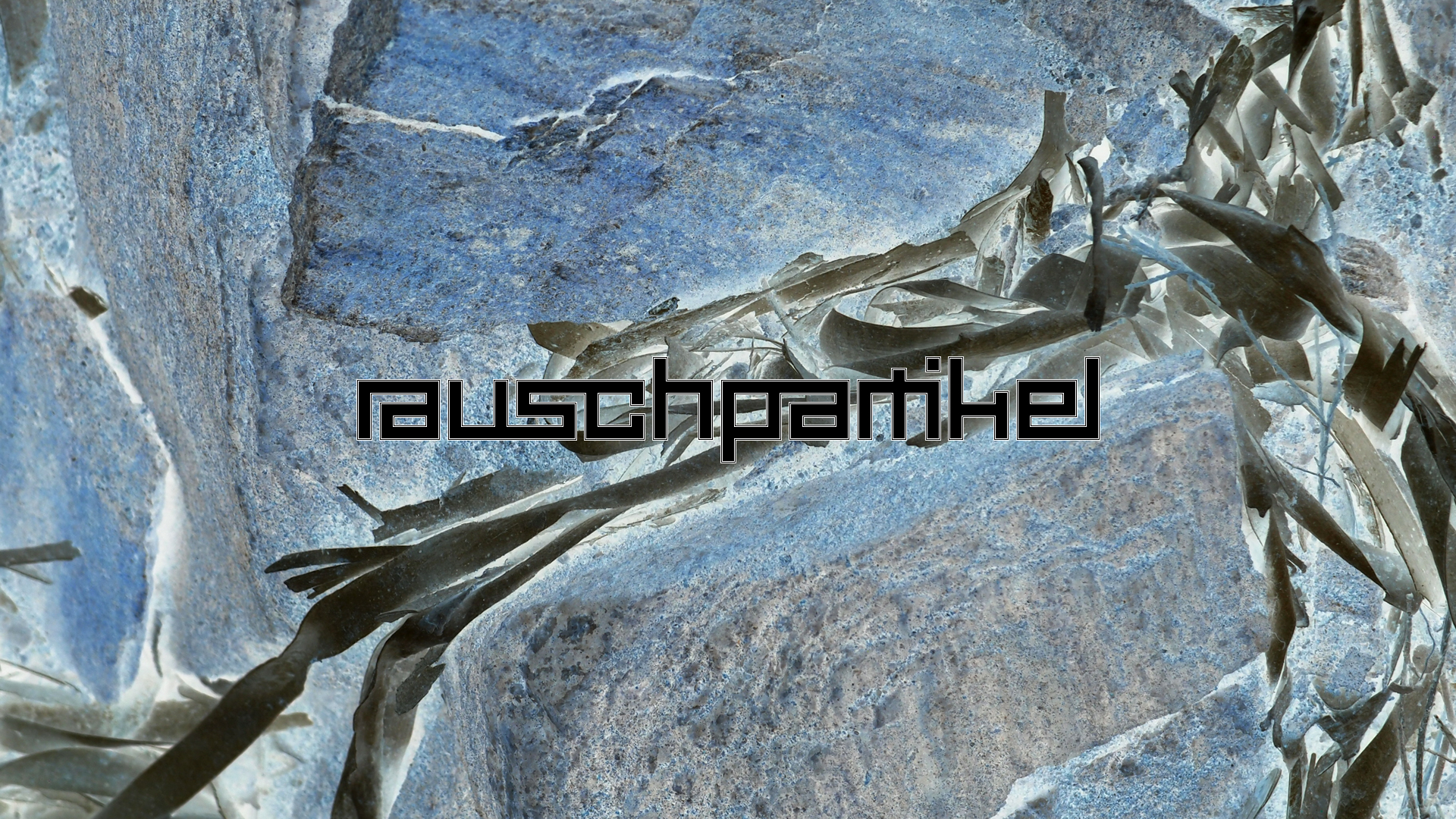 2021-04-19 Ame Zek - rauschpartikel (Vocoder Remixe) (Mixe, Typo Grafik)