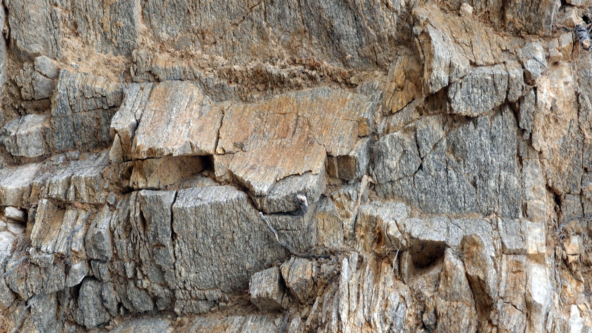 2021-04-19 Ame Zek - rauschpartikel (Vocoder Remixe) (Mixe, Typo Grafik)