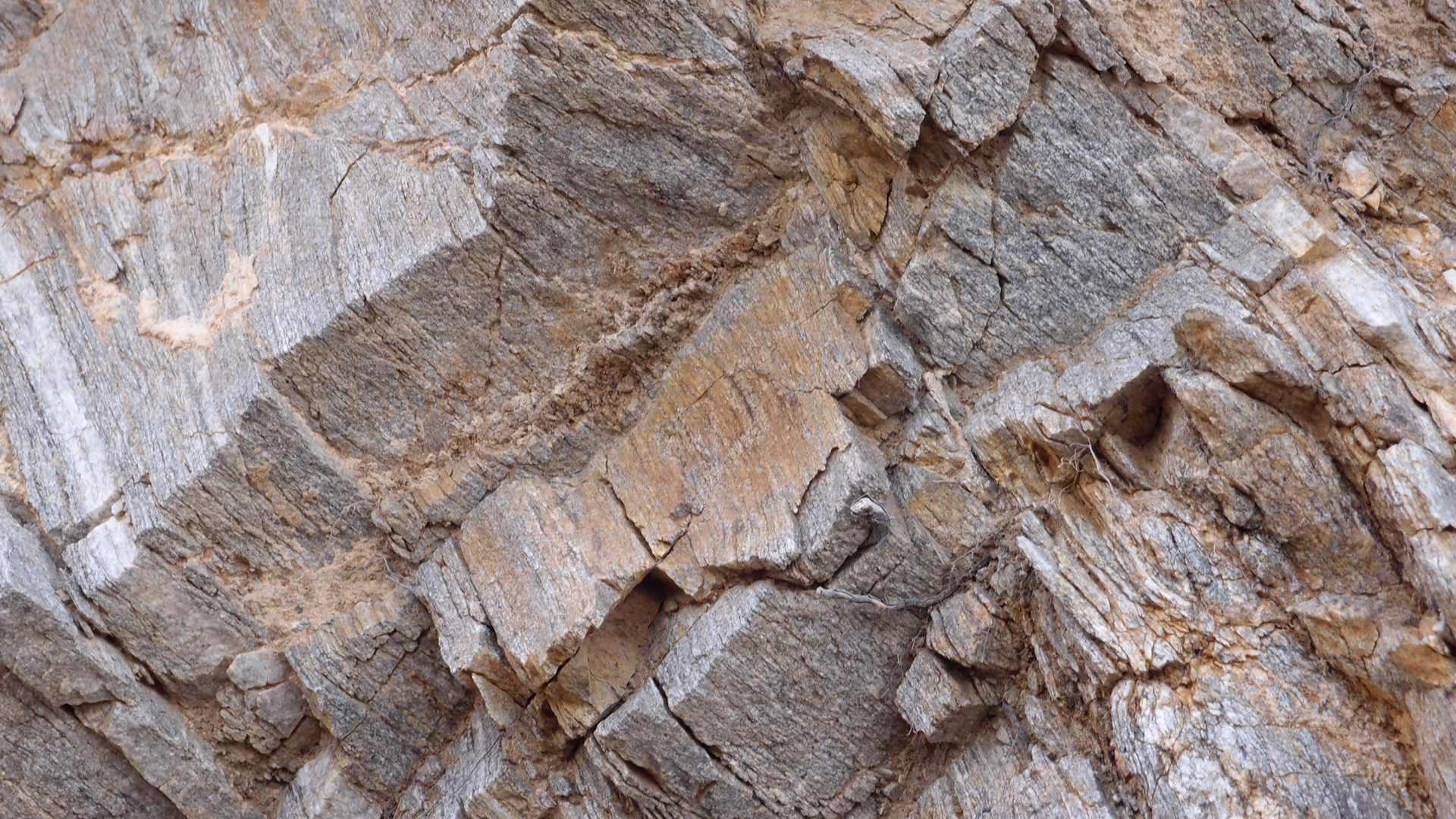 2021-04-19 Ame Zek - rauschpartikel (Vocoder Remixe) (Mixe, Typo Grafik)