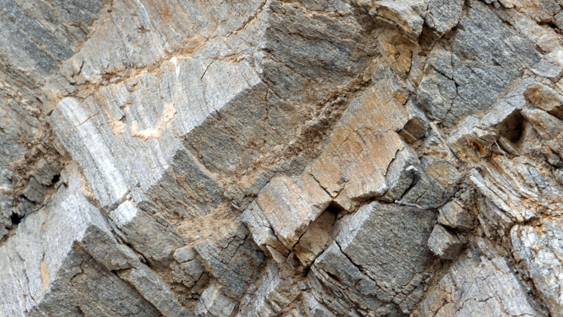 2021-04-19 Ame Zek - rauschpartikel (Vocoder Remixe) (Mixe, Typo Grafik)