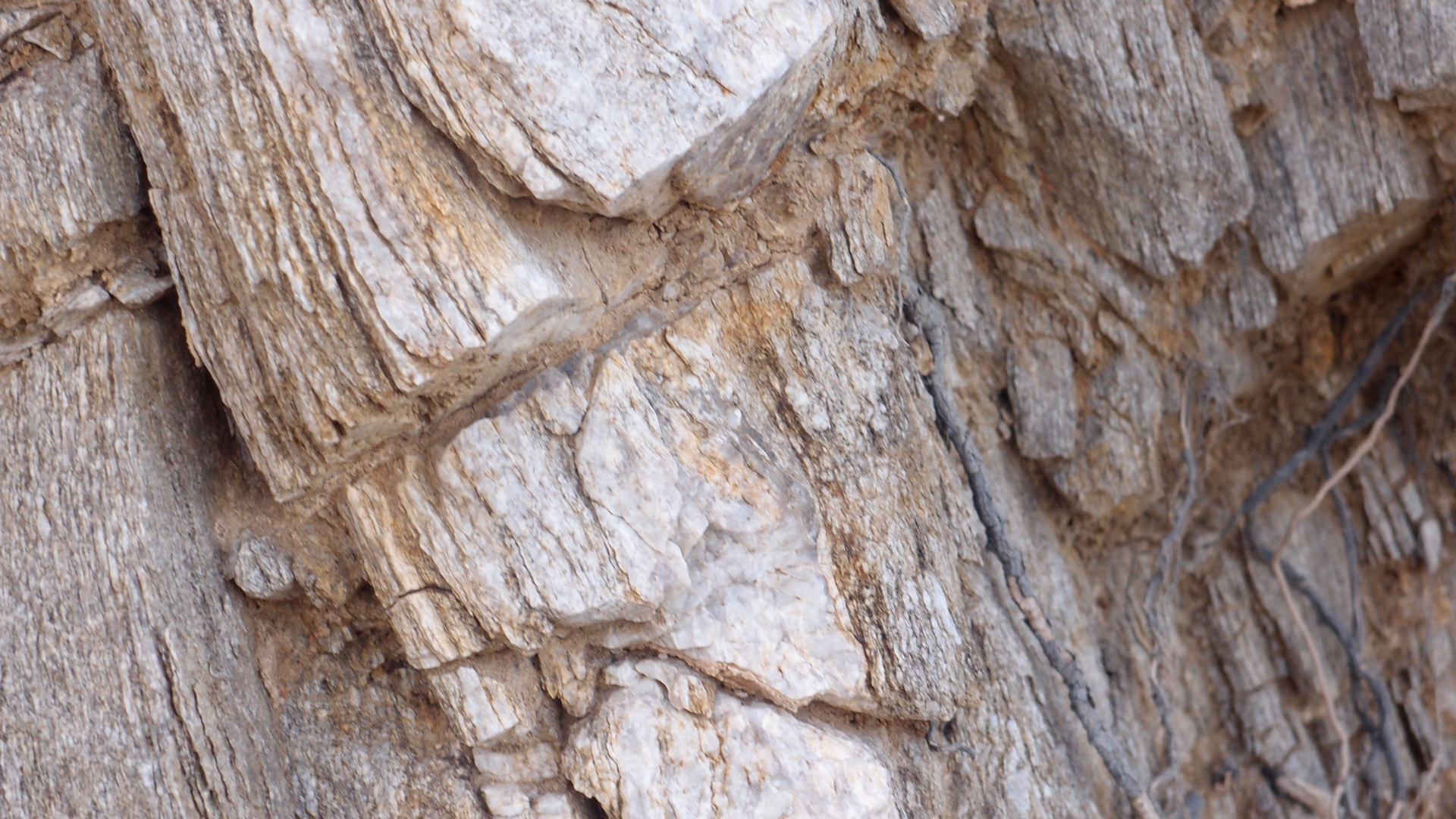 2021-04-19 Ame Zek - rauschpartikel (Vocoder Remixe) (Mixe, Typo Grafik)