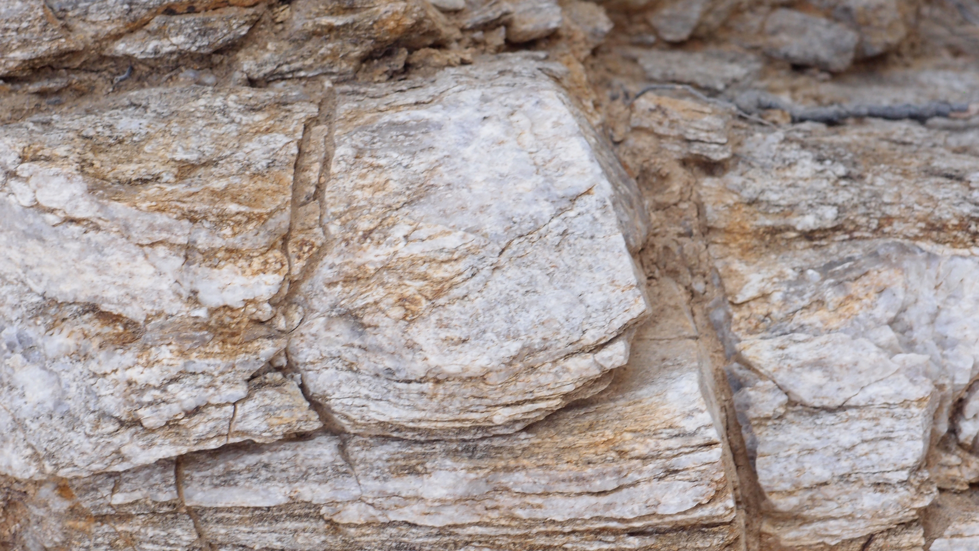 2021-09-18 01 am Hausstrand (Fieldrecording, Foto, Video)