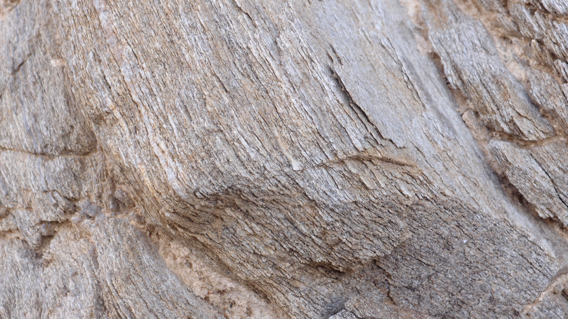 2021-09-18 01 am Hausstrand (Fieldrecording, Foto, Video)