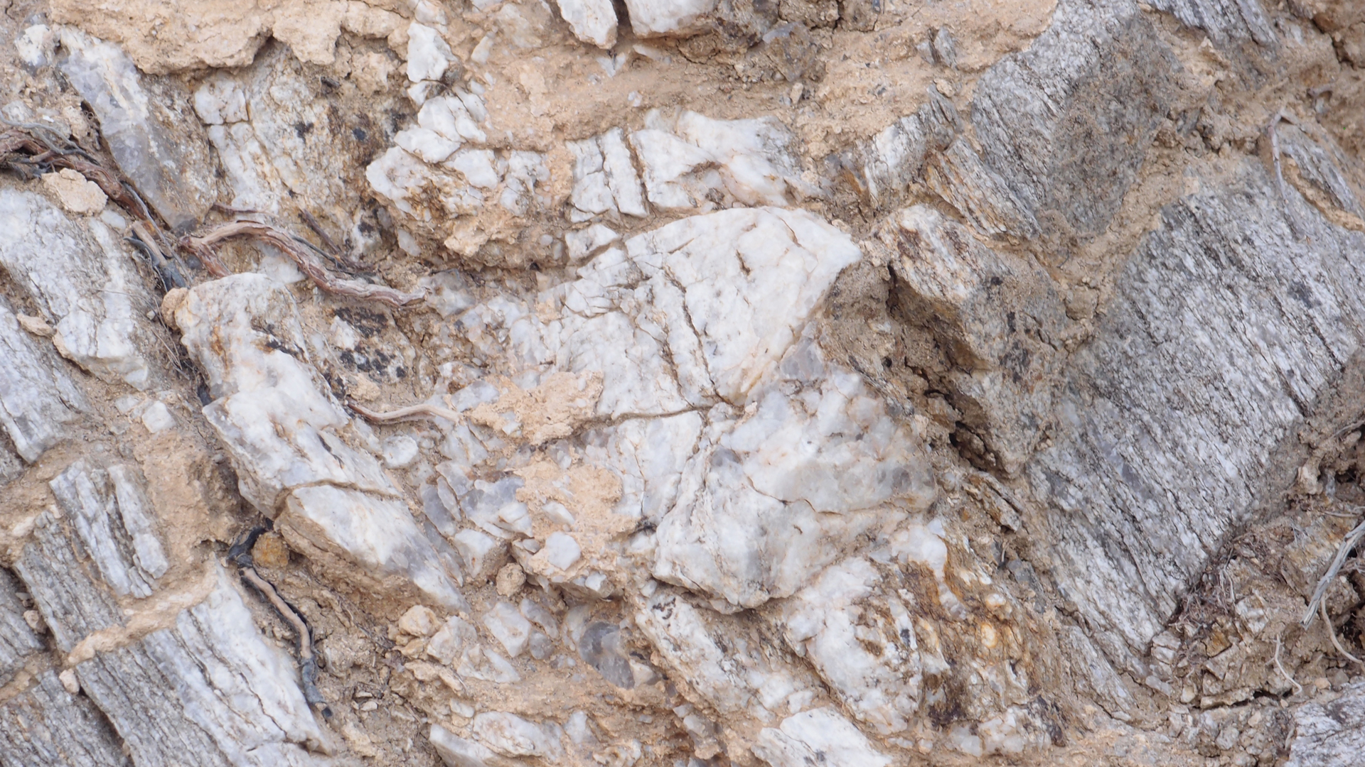 2021-09-18 01 am Hausstrand (Fieldrecording, Foto, Video)