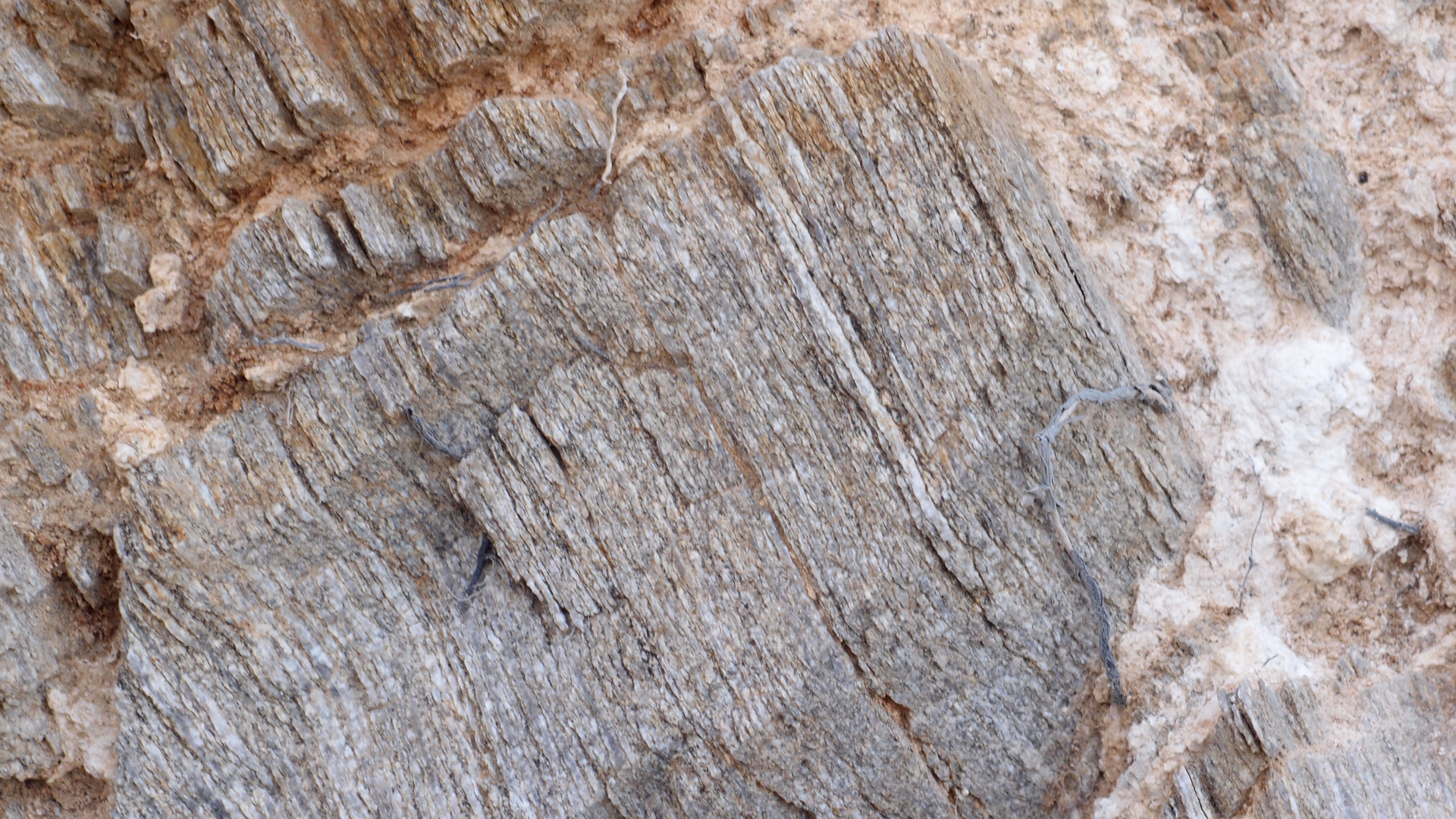 2021-09-18 01 am Hausstrand (Fieldrecording, Foto, Video)