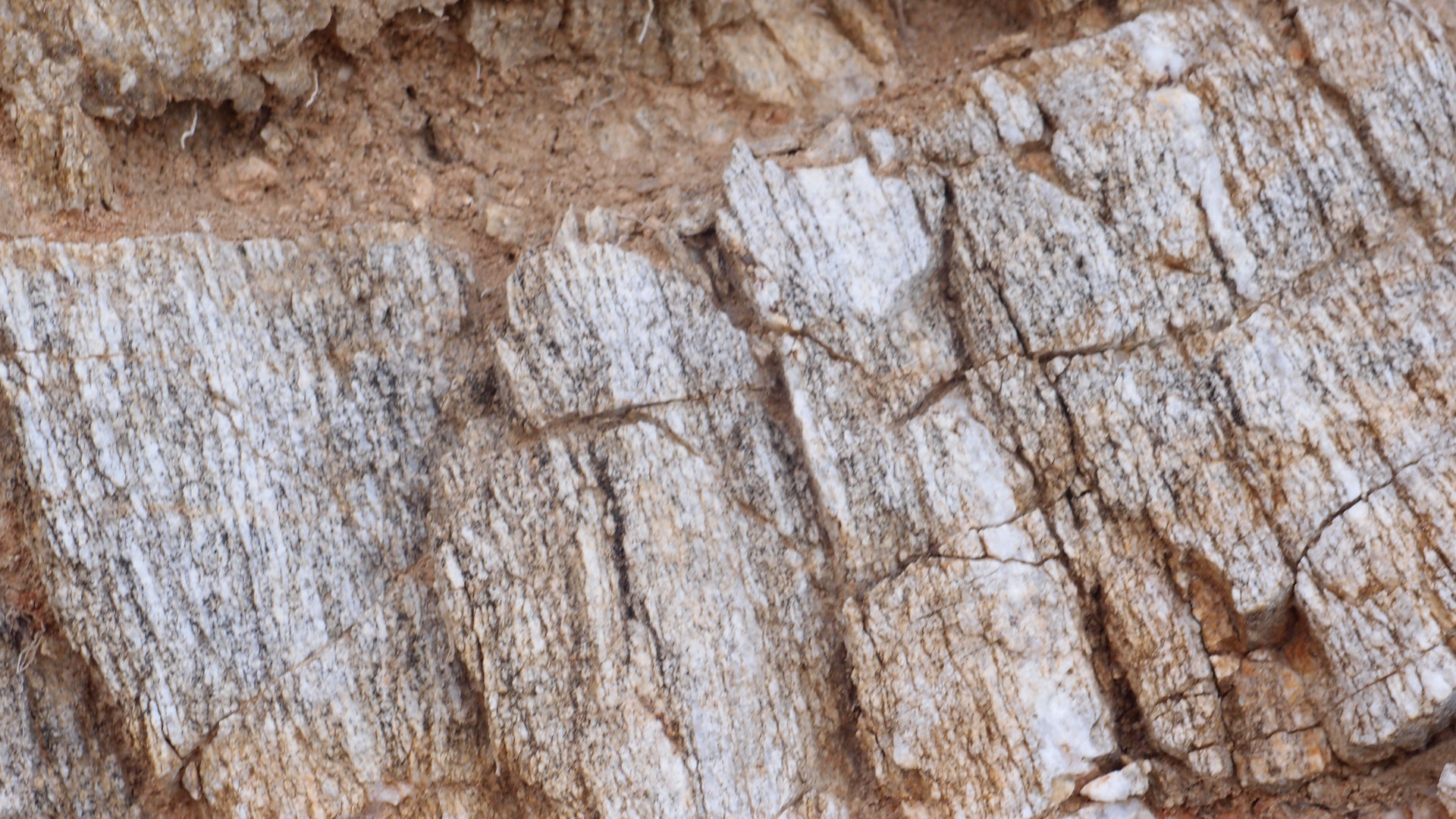 2021-09-18 01 am Hausstrand (Fieldrecording, Foto, Video)