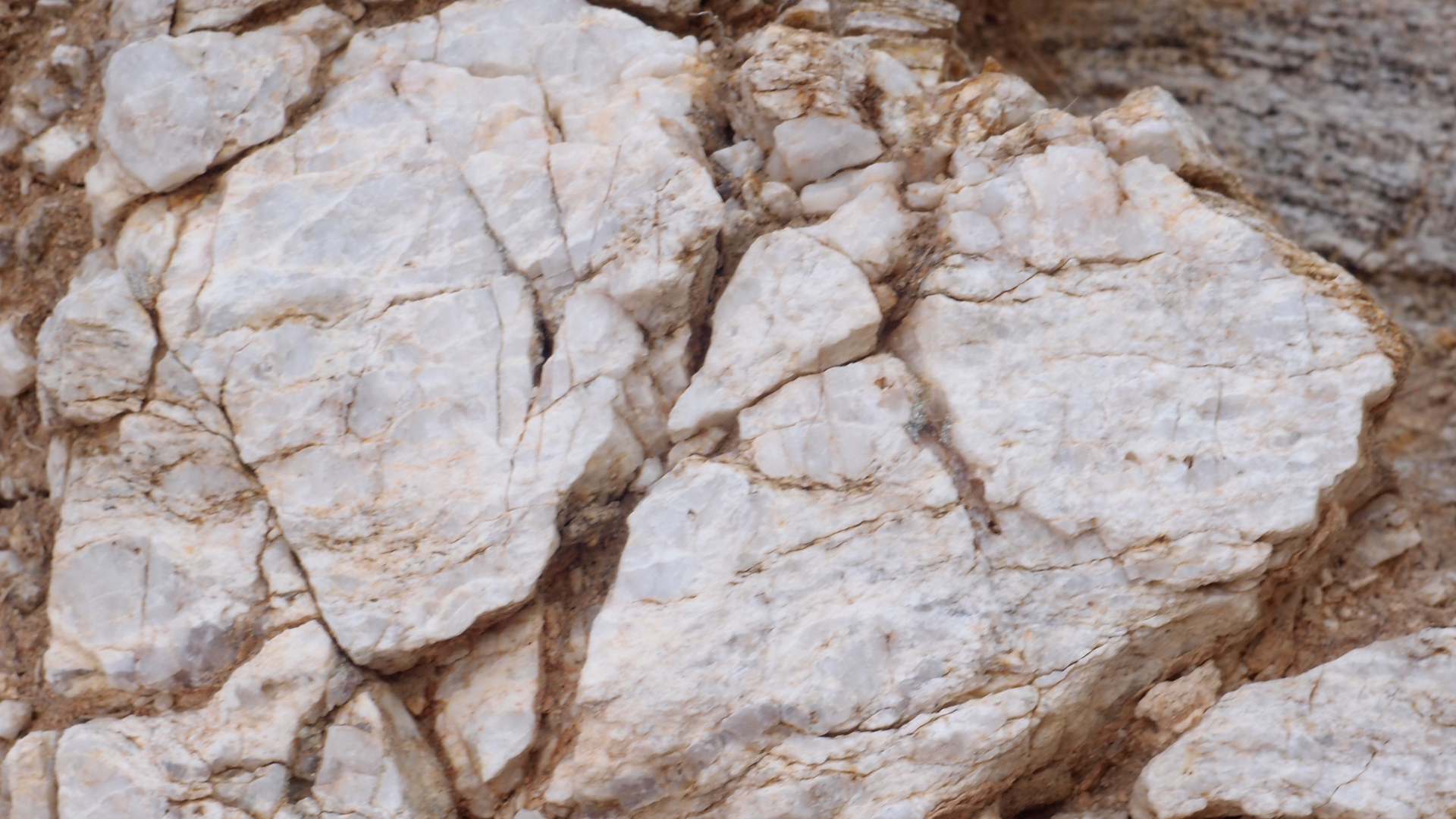 2021-09-18 01 am Hausstrand (Fieldrecording, Foto, Video)