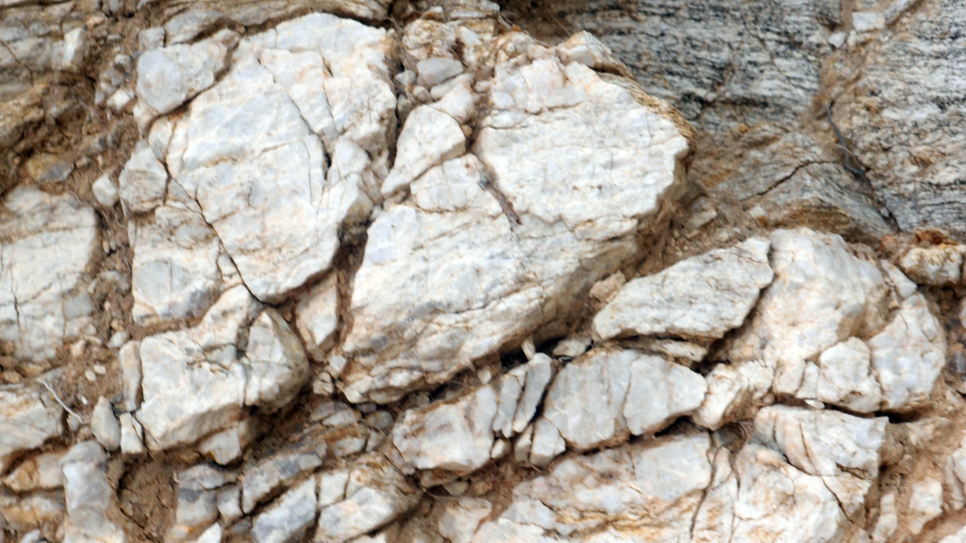 2021-09-18 01 am Hausstrand (Fieldrecording, Foto, Video)