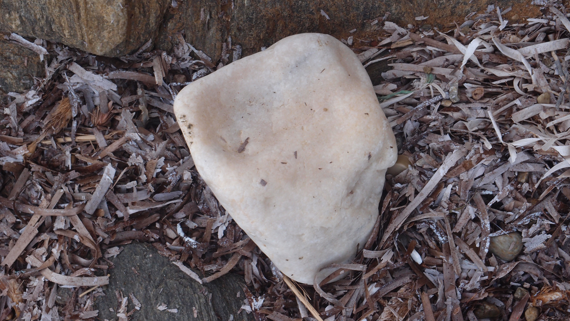 2021-09-18 01 am Hausstrand (Fieldrecording, Foto, Video)