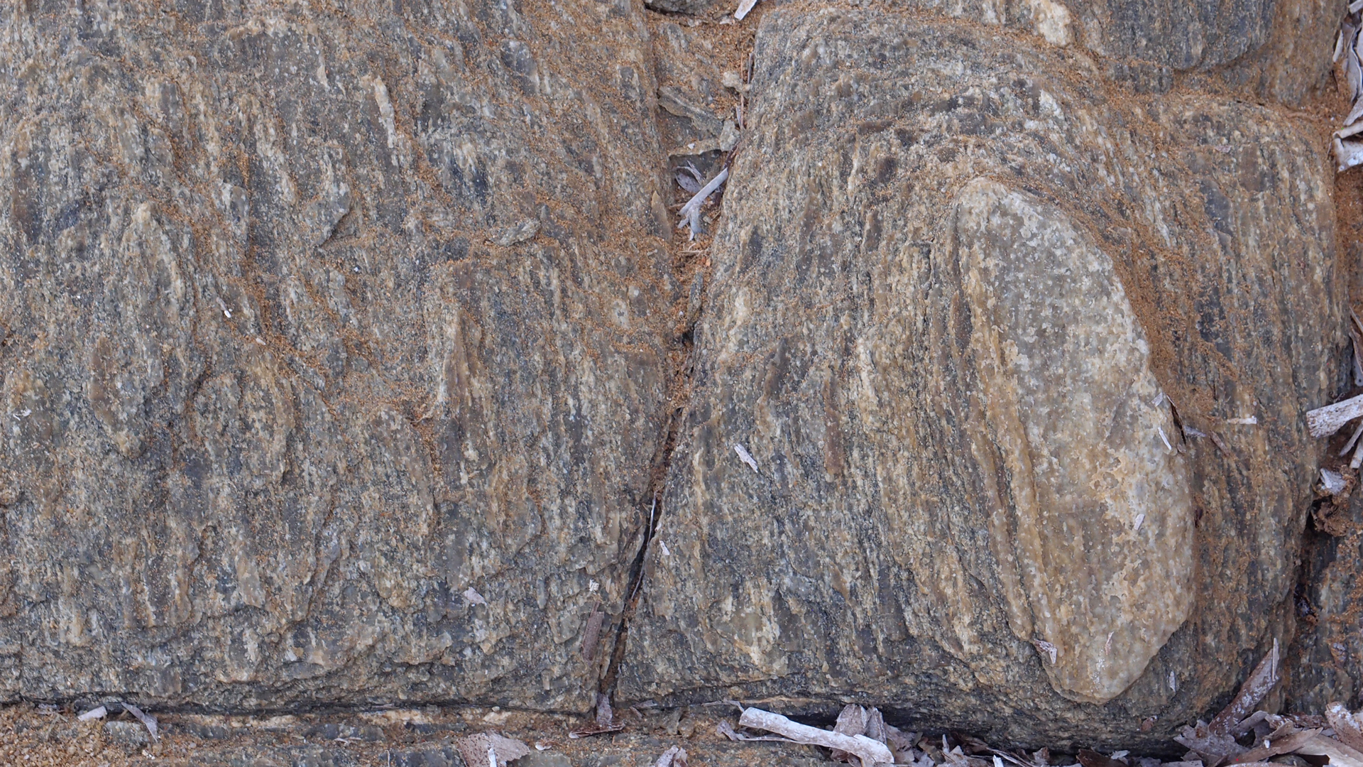 2021-09-18 01 am Hausstrand (Fieldrecording, Foto, Video)