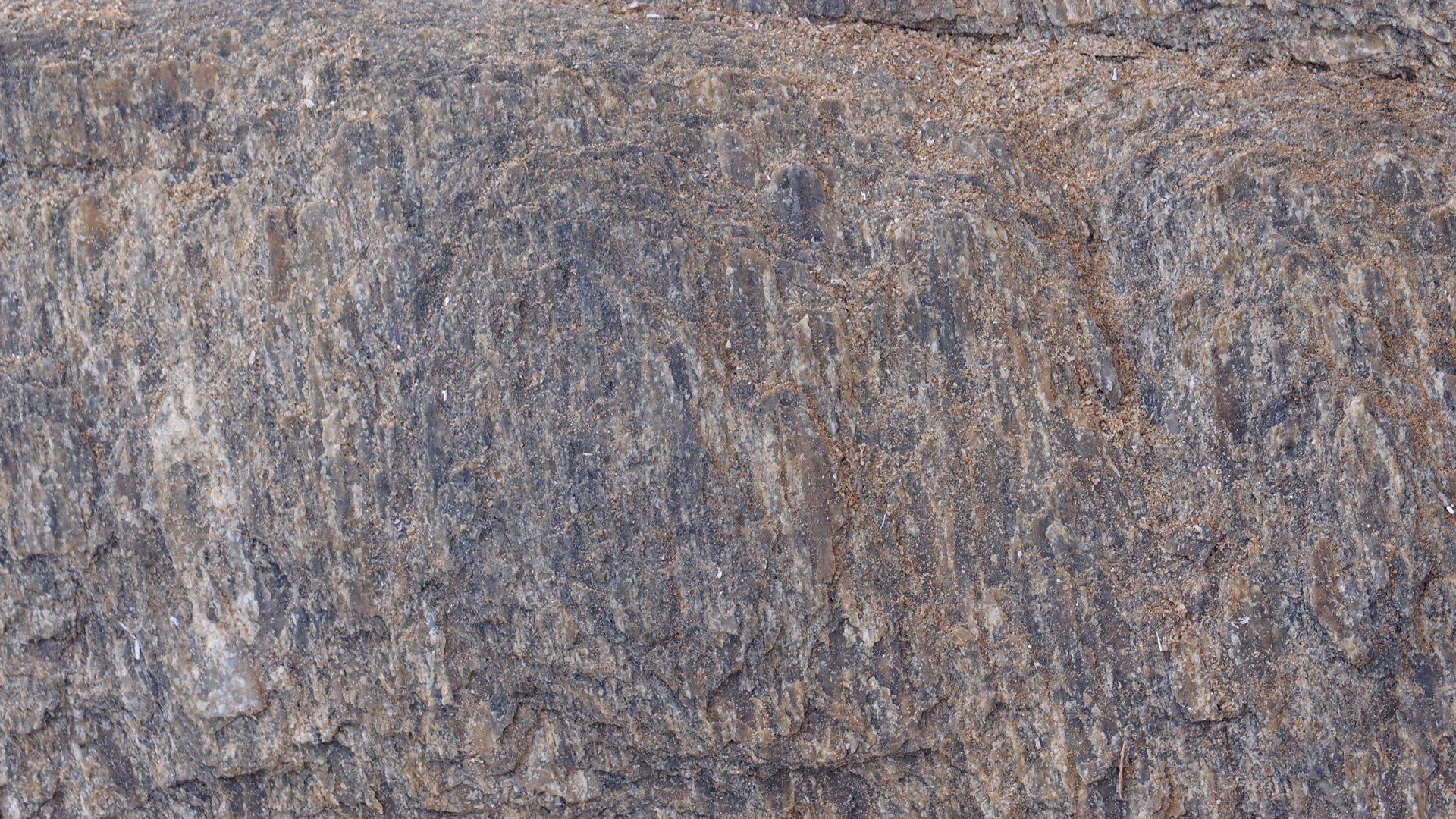 2021-09-18 01 am Hausstrand (Fieldrecording, Foto, Video)