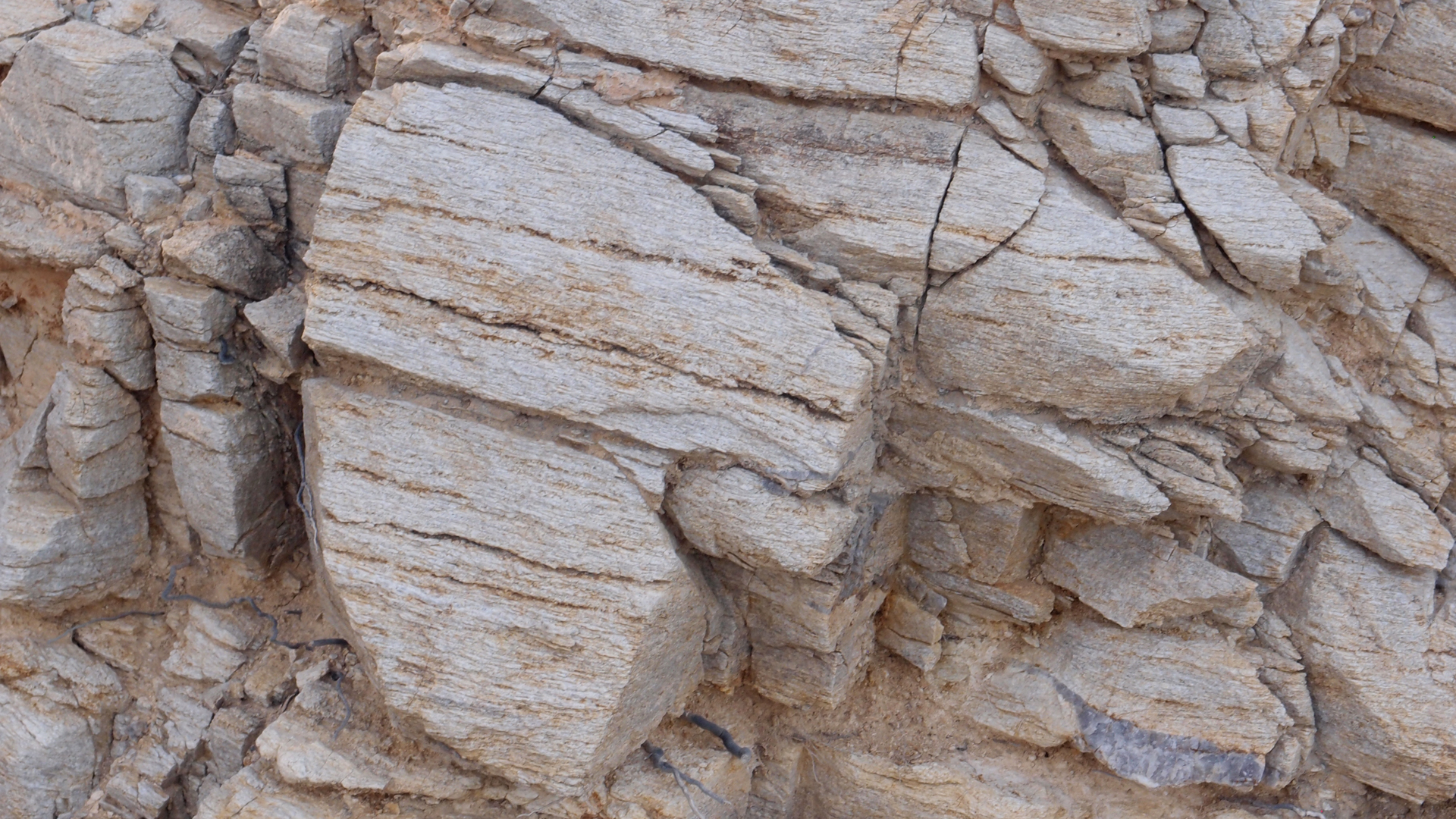 2021-09-18 01 am Hausstrand (Fieldrecording, Foto, Video)